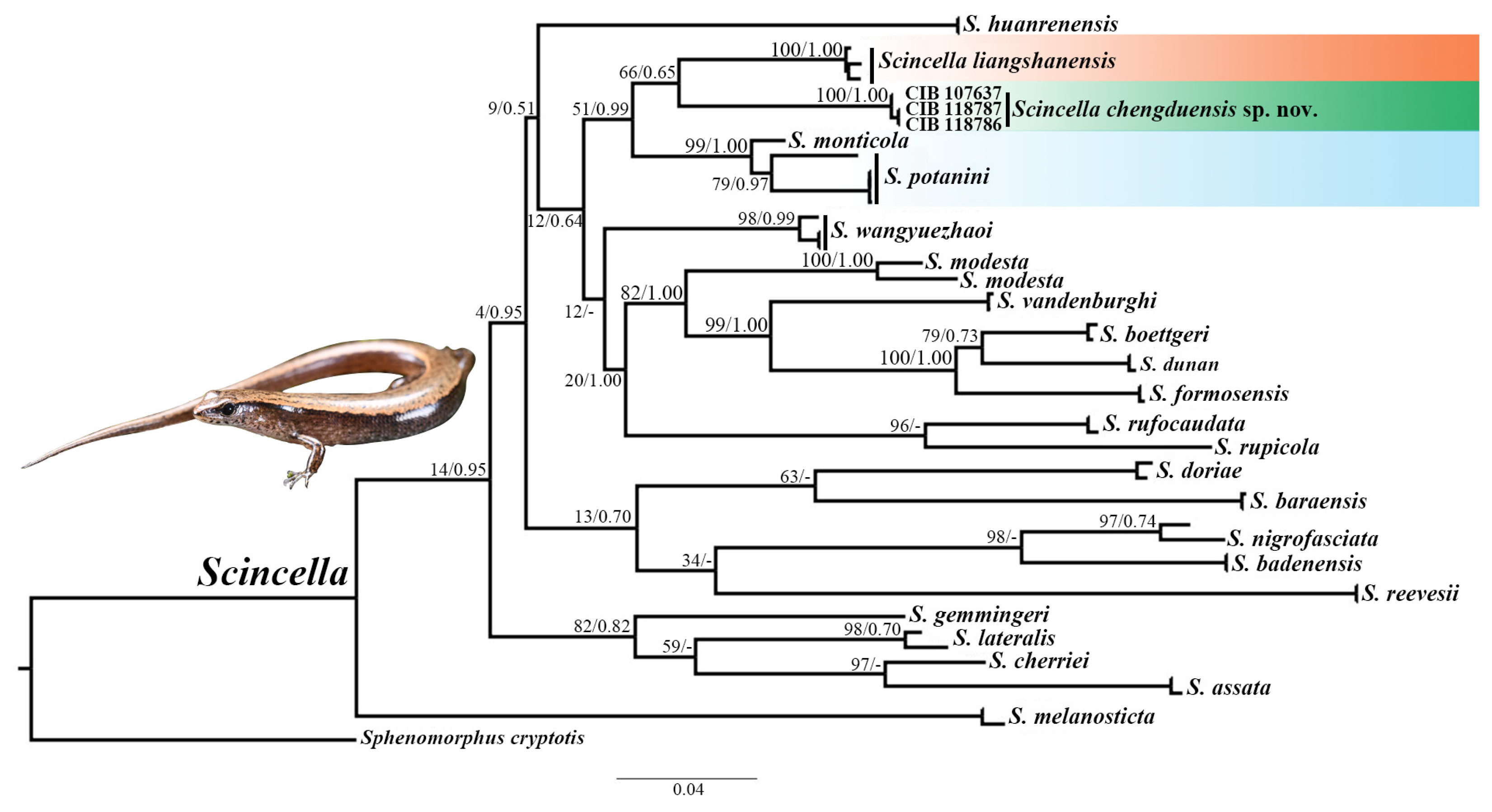 Animals 15 00232 g002 Animals 15 00232 g002