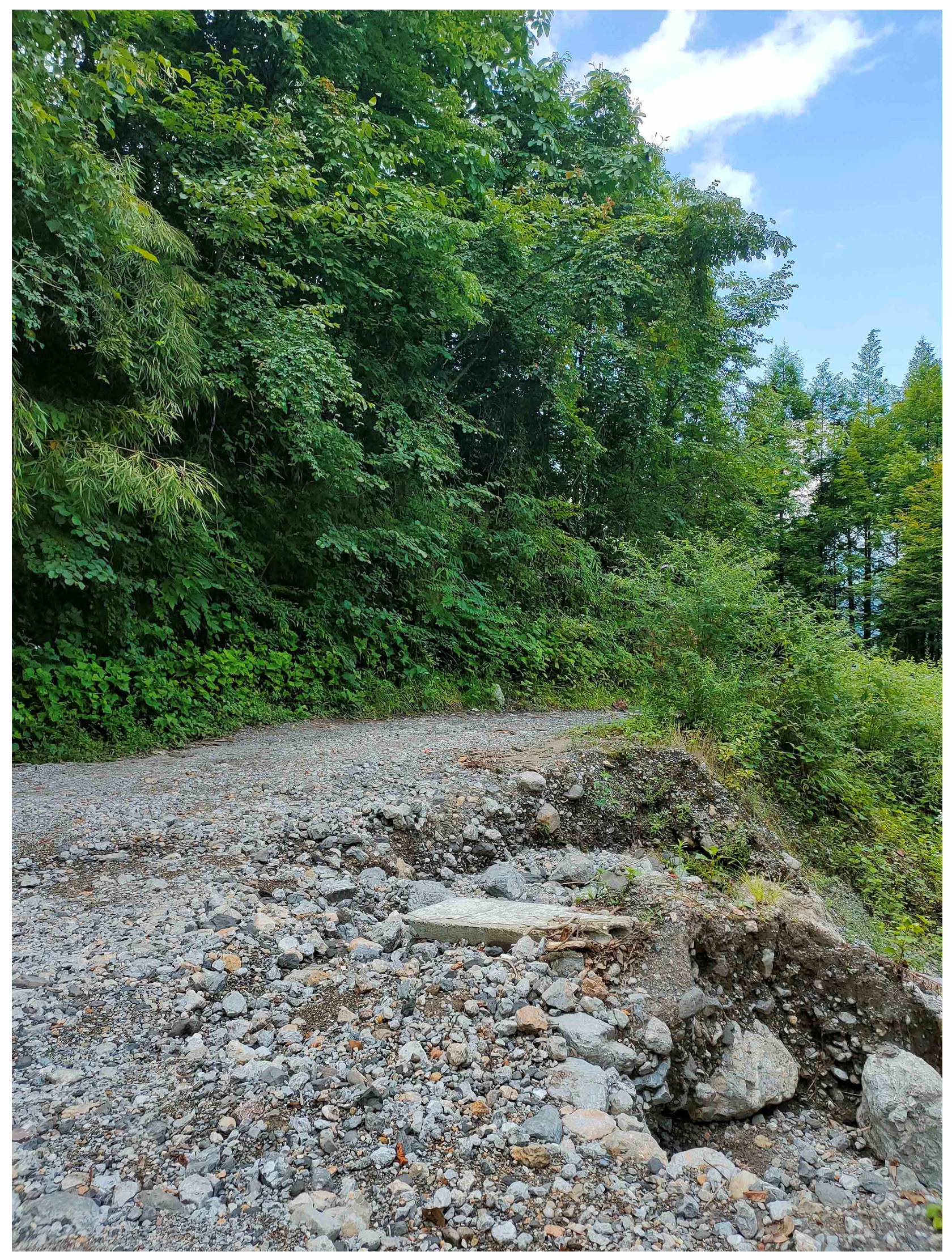 Animals 15 00232 g007 Animals 15 00232 g007