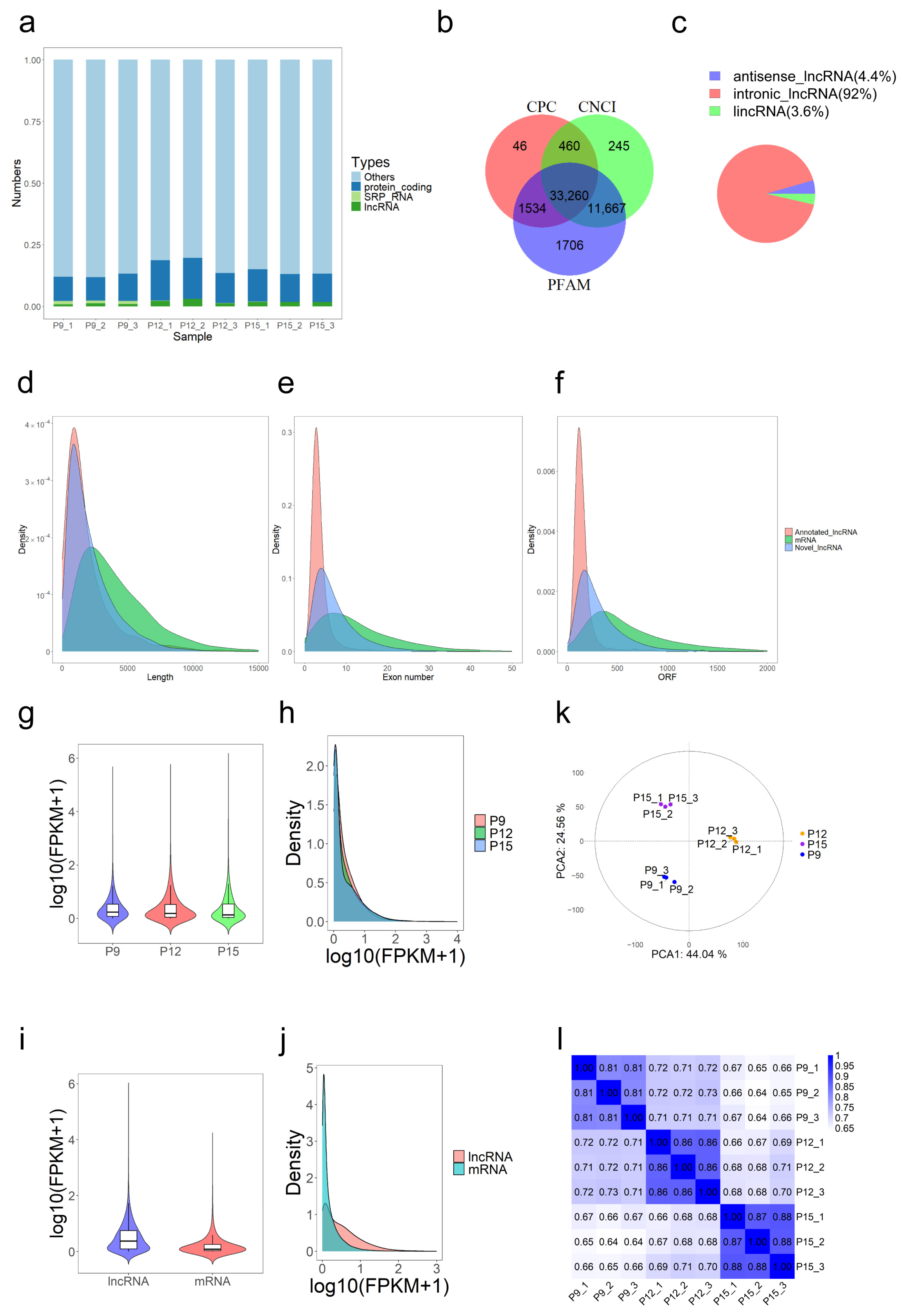 Animals 15 00245 g002
