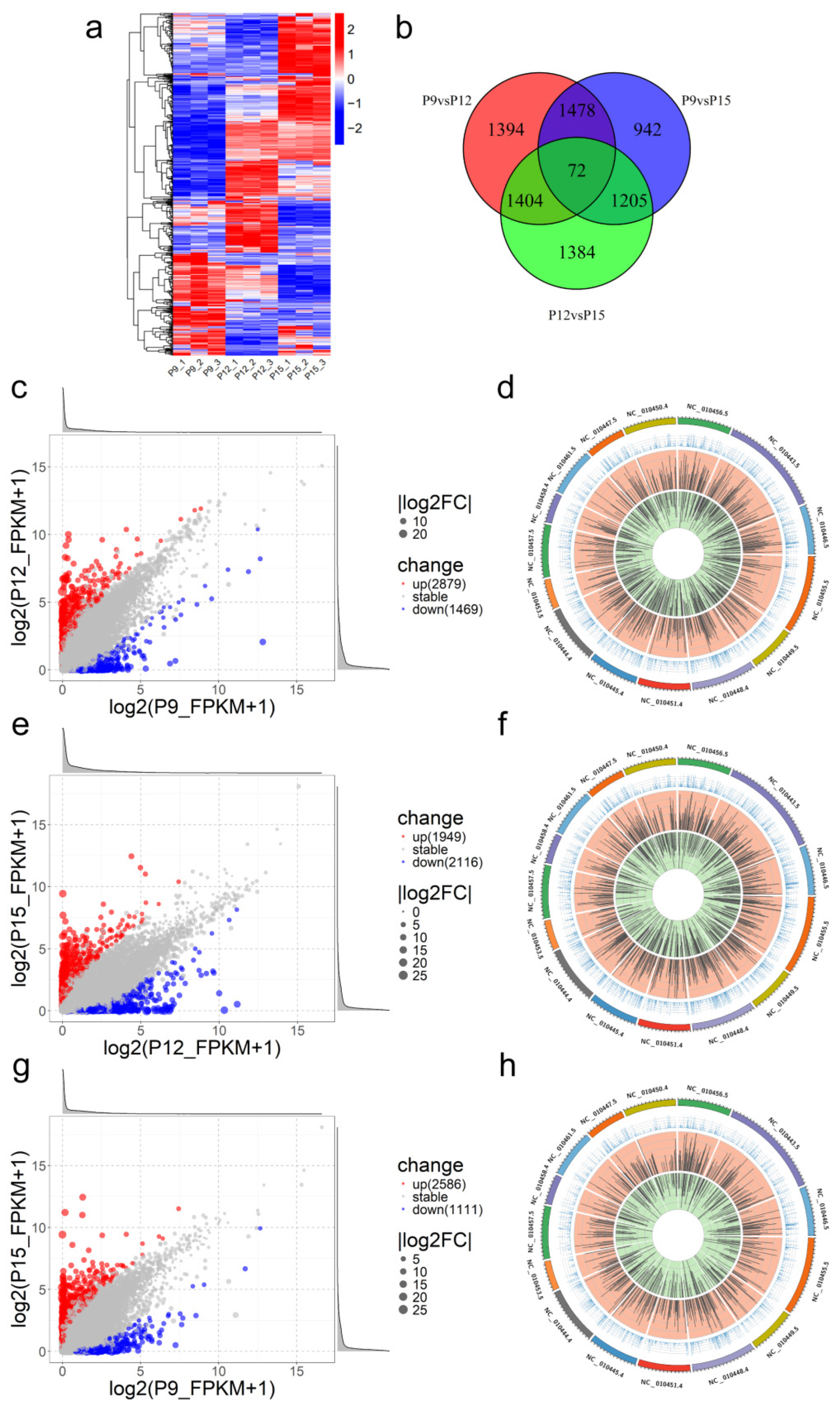 Animals 15 00245 g003