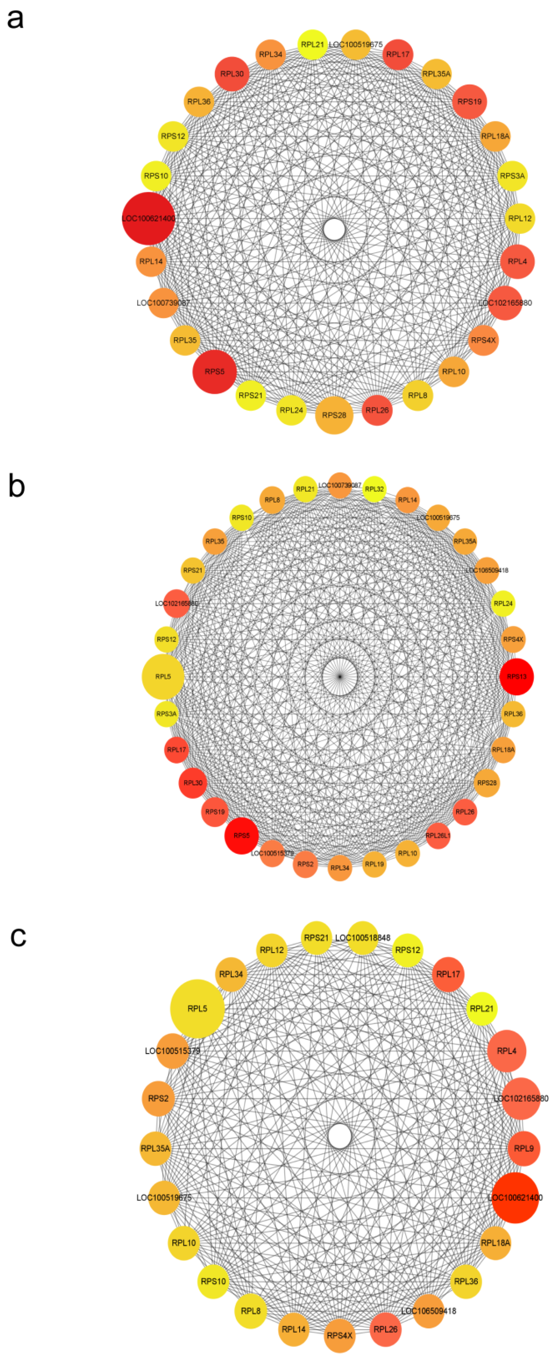 Animals 15 00245 g007