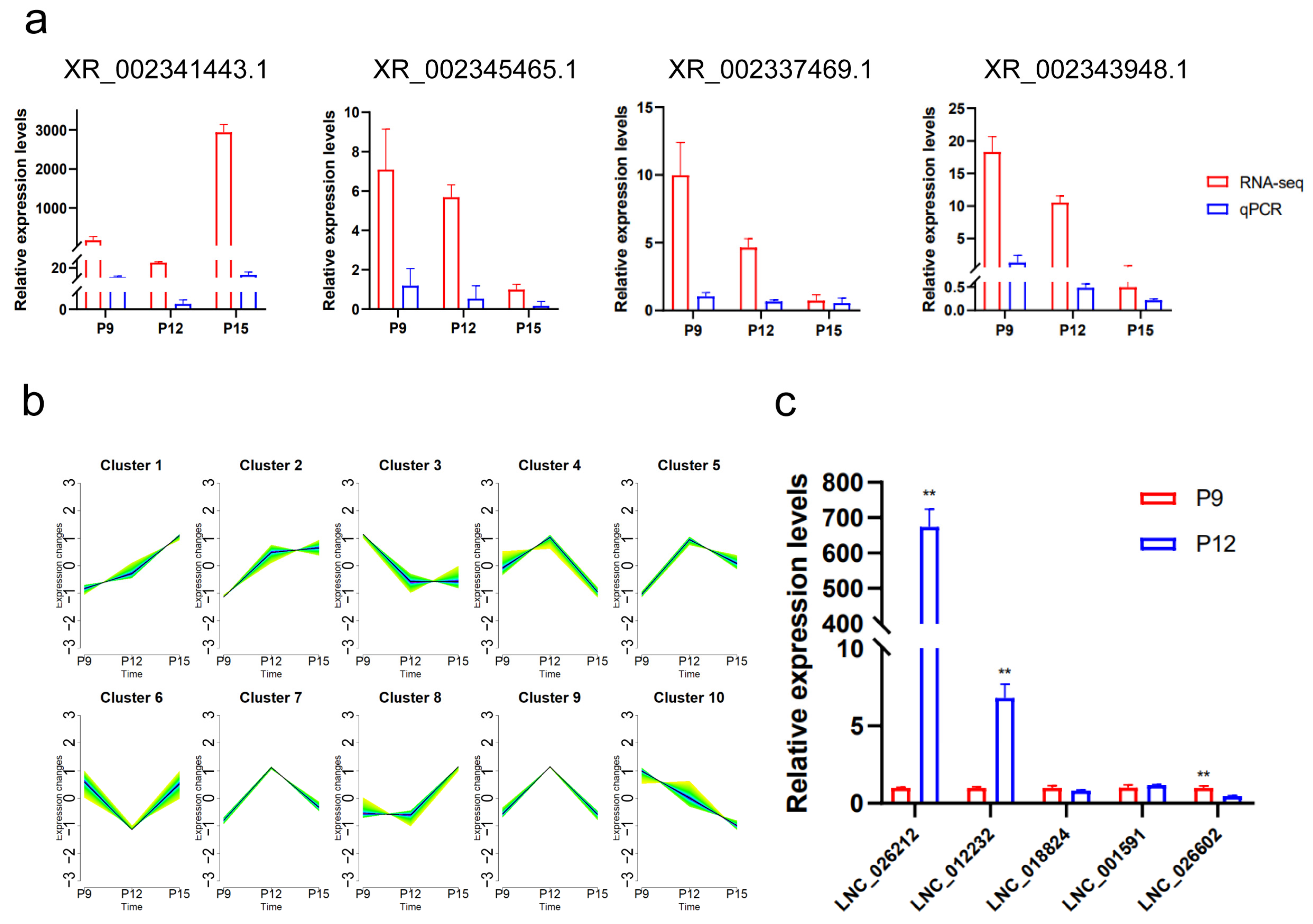 Animals 15 00245 g008