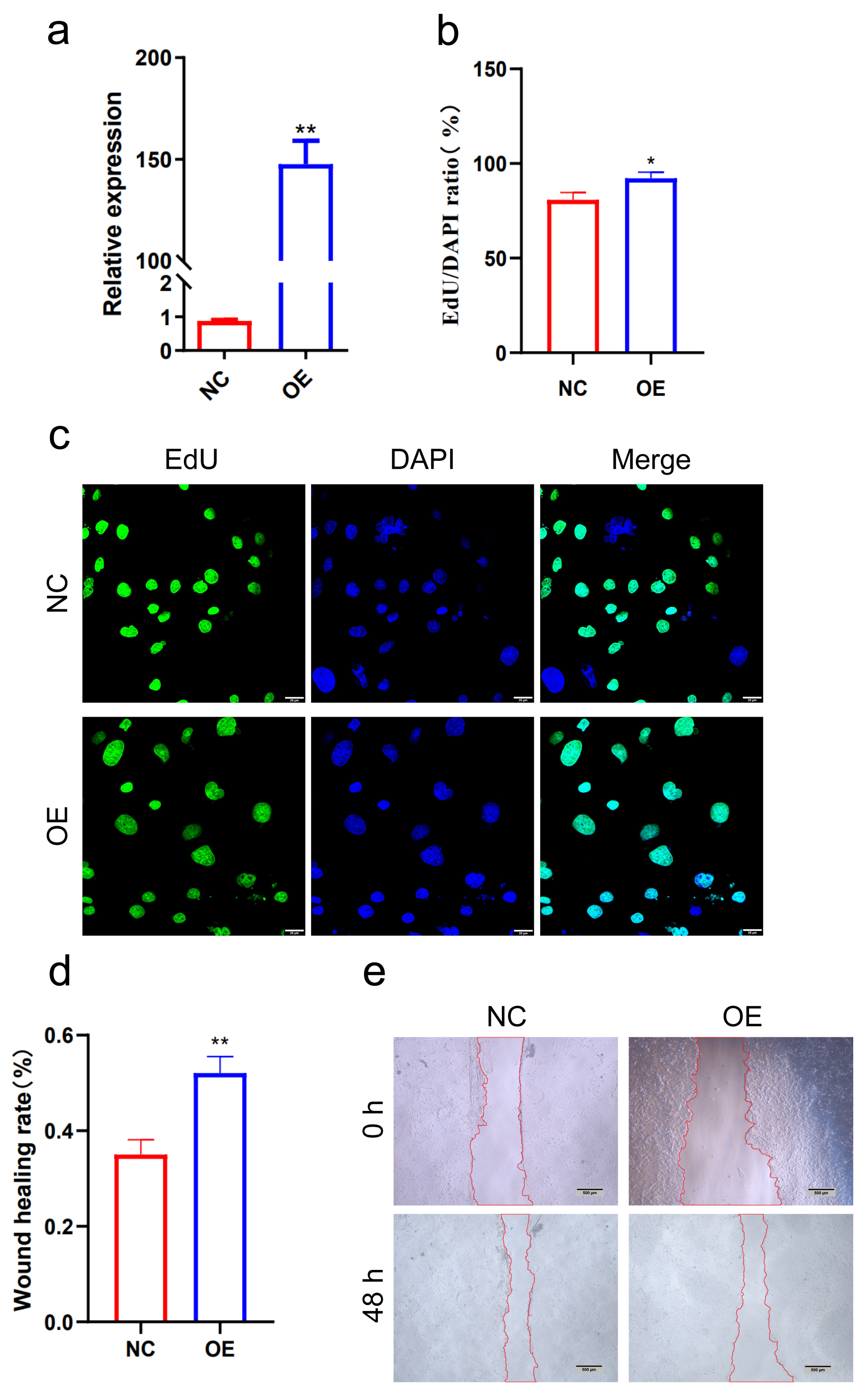 Animals 15 00245 g010