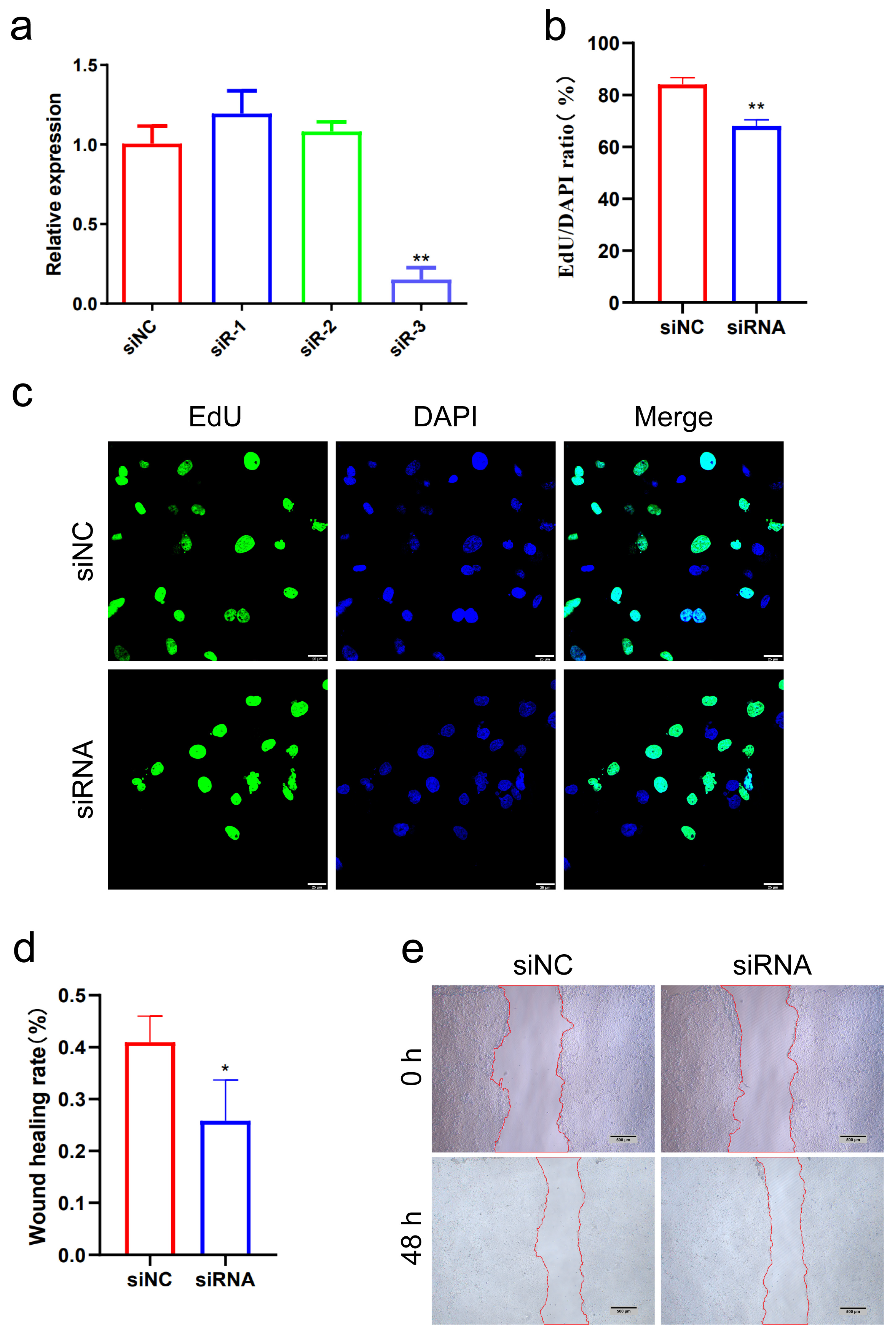 Animals 15 00245 g011
