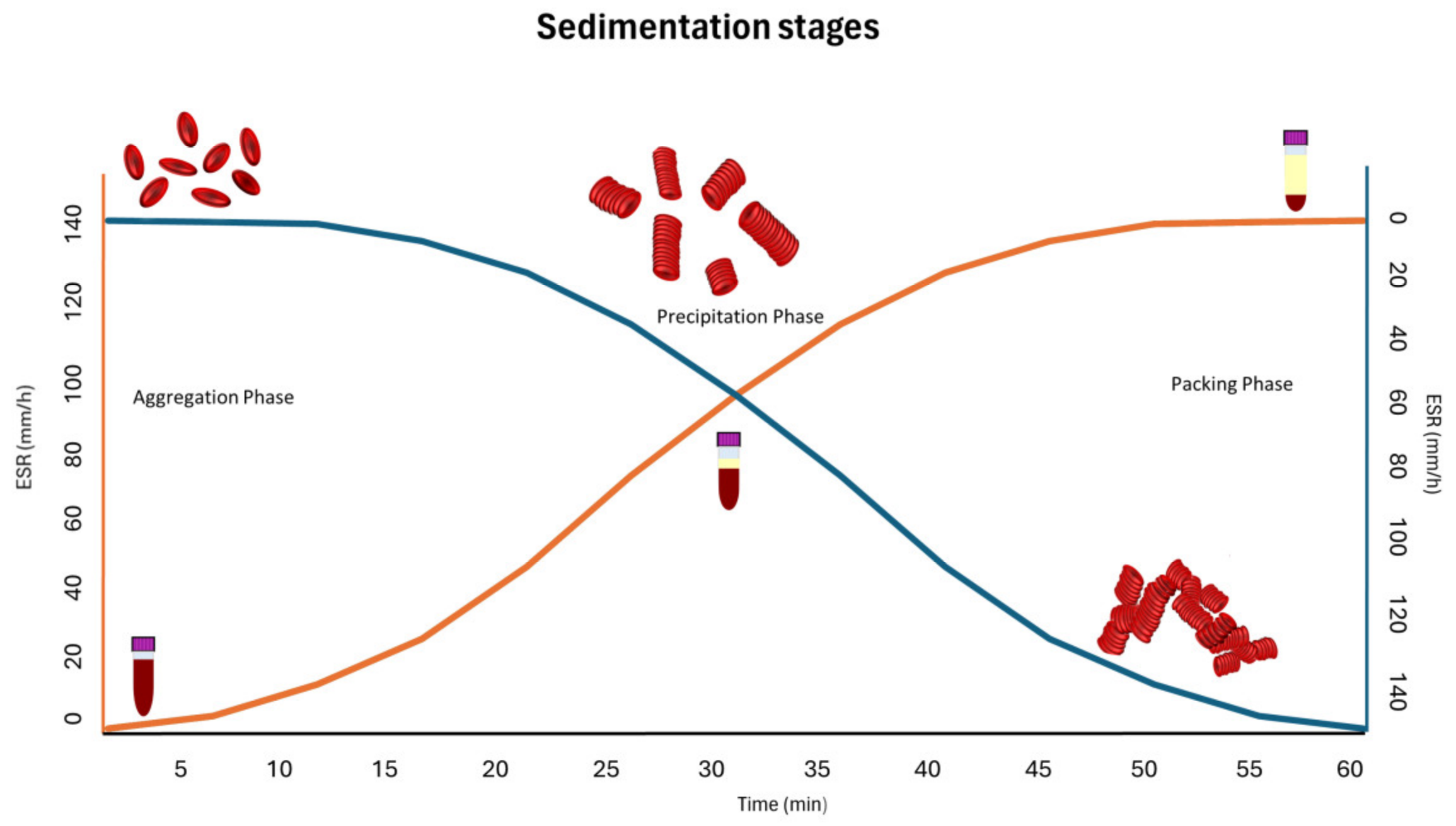 Animals 15 00246 g001