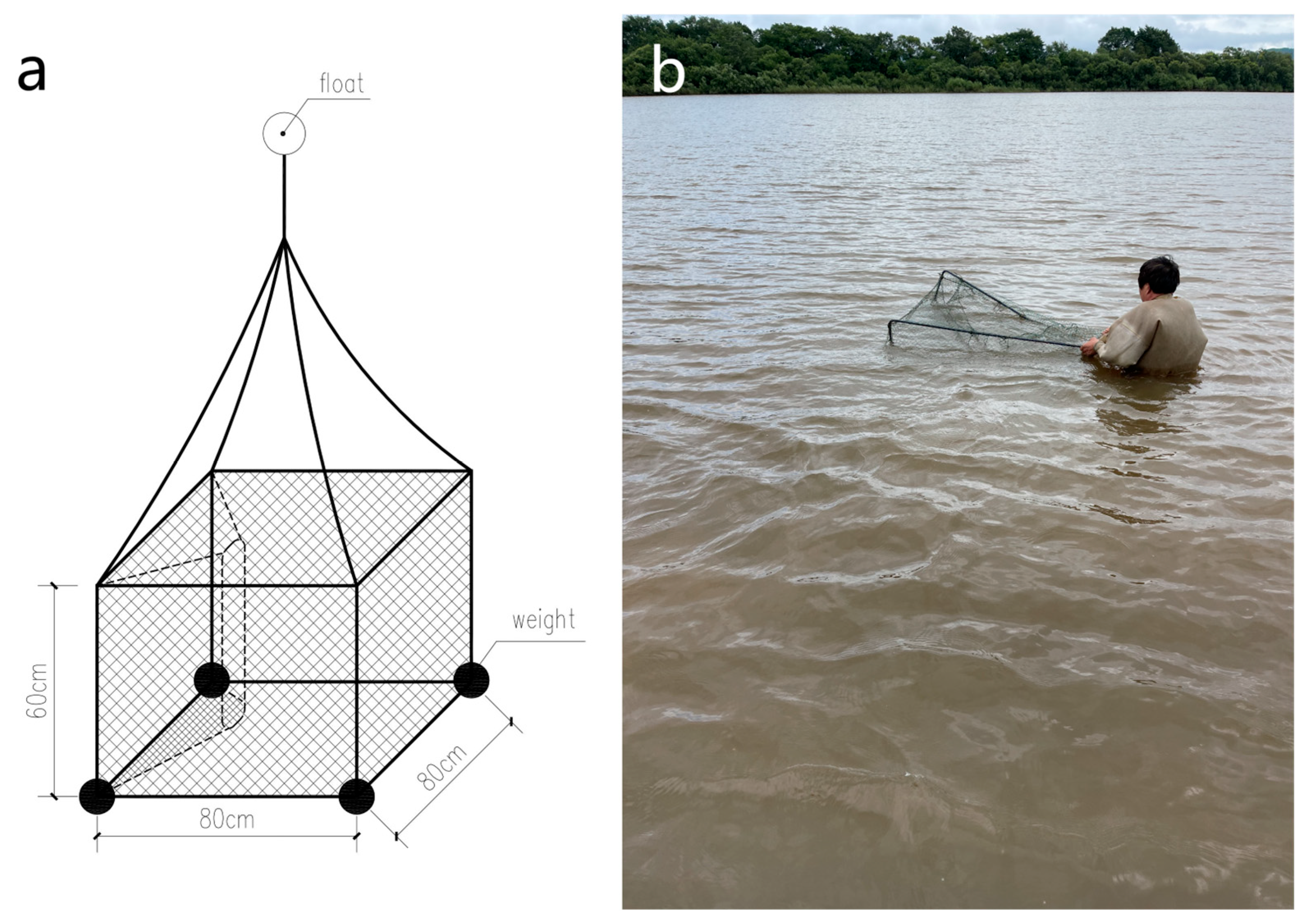 Animals 15 00255 g003