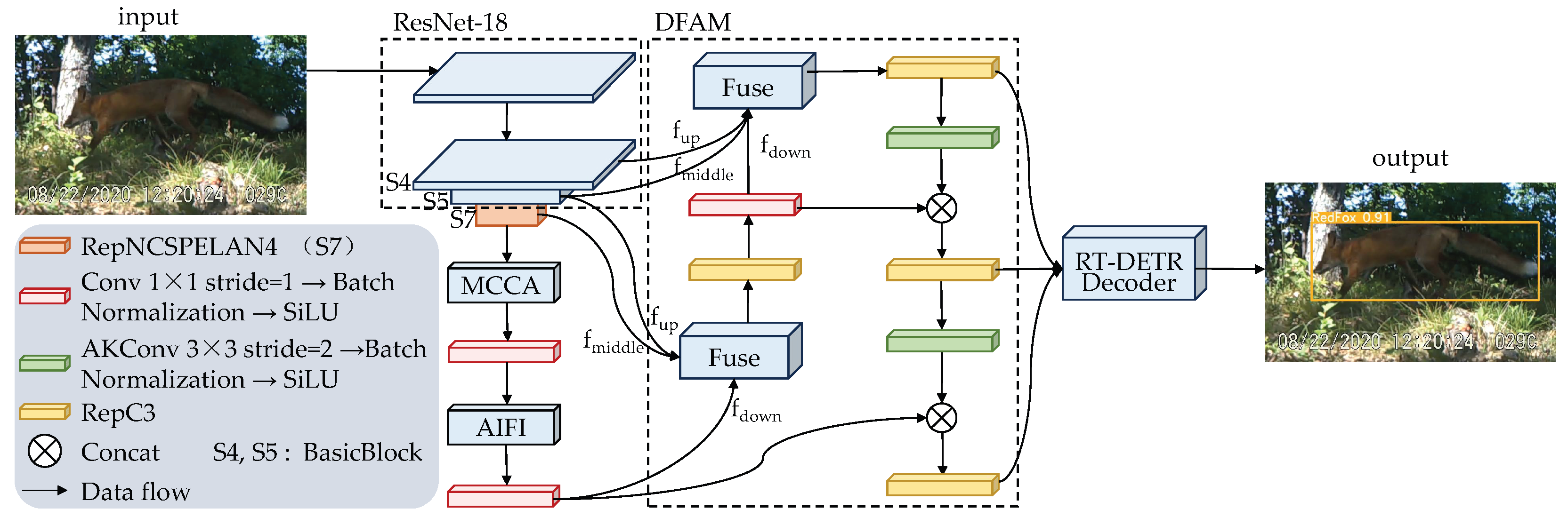 Animals 15 00259 g001