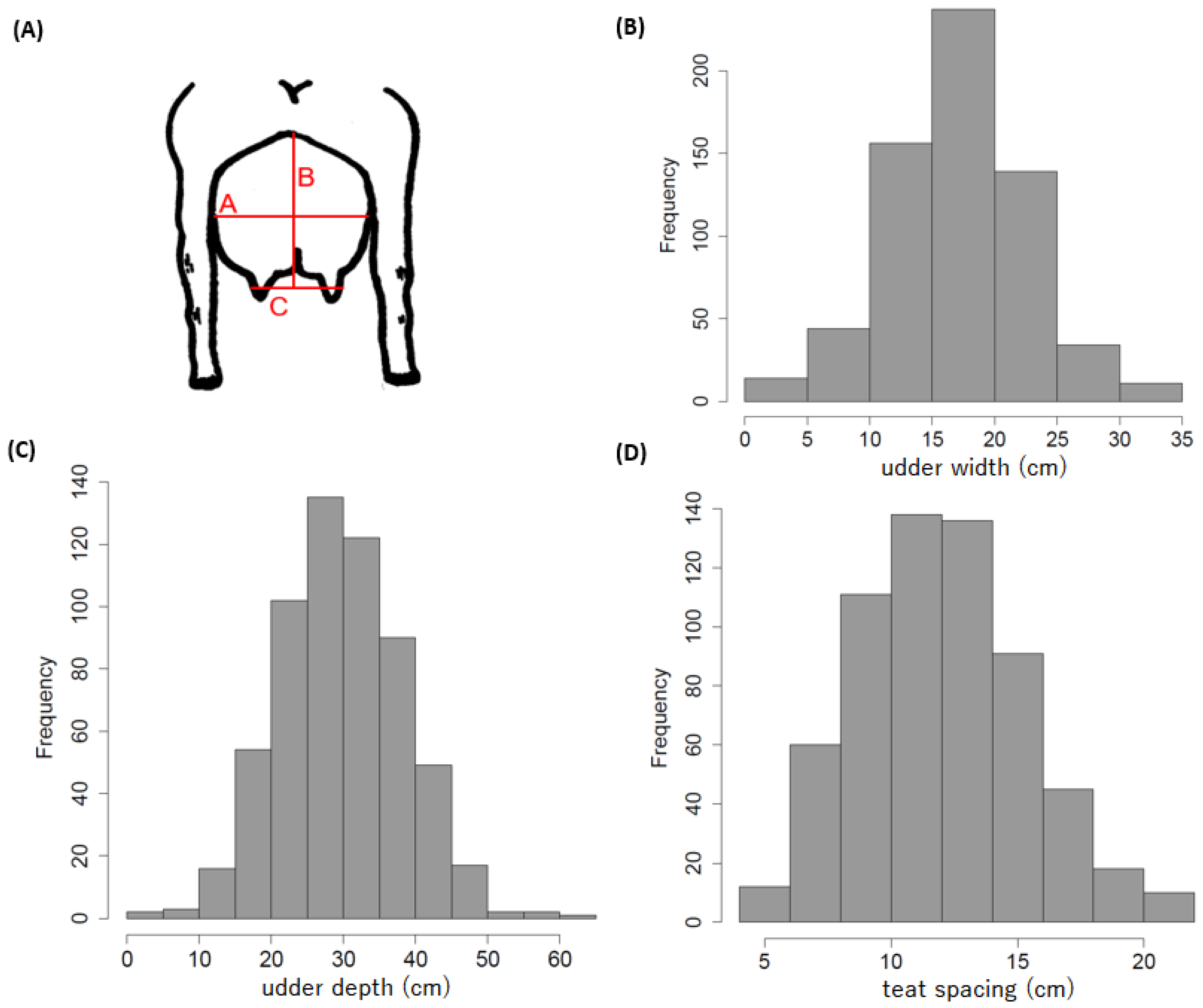 Animals 15 00261 g001