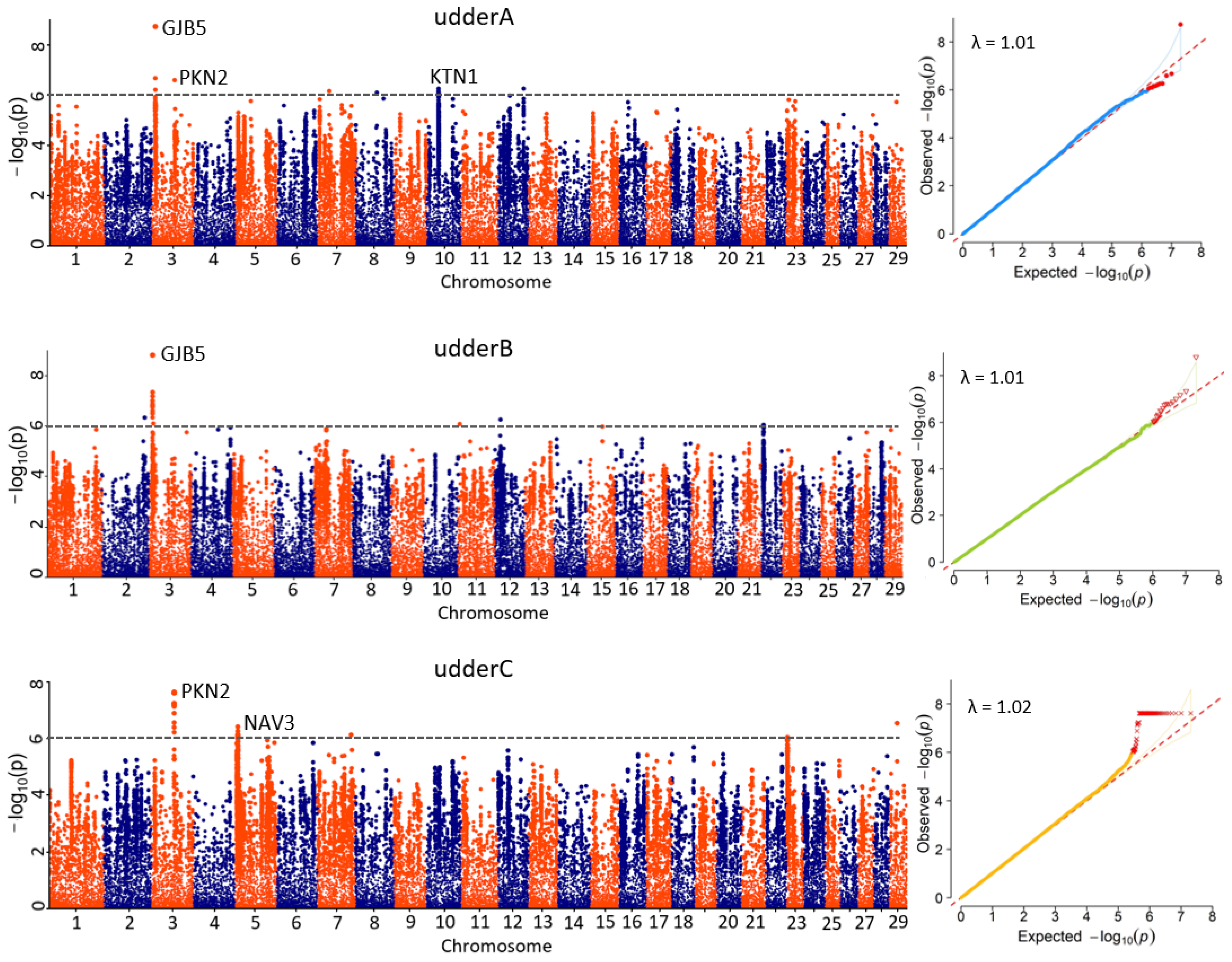 Animals 15 00261 g004