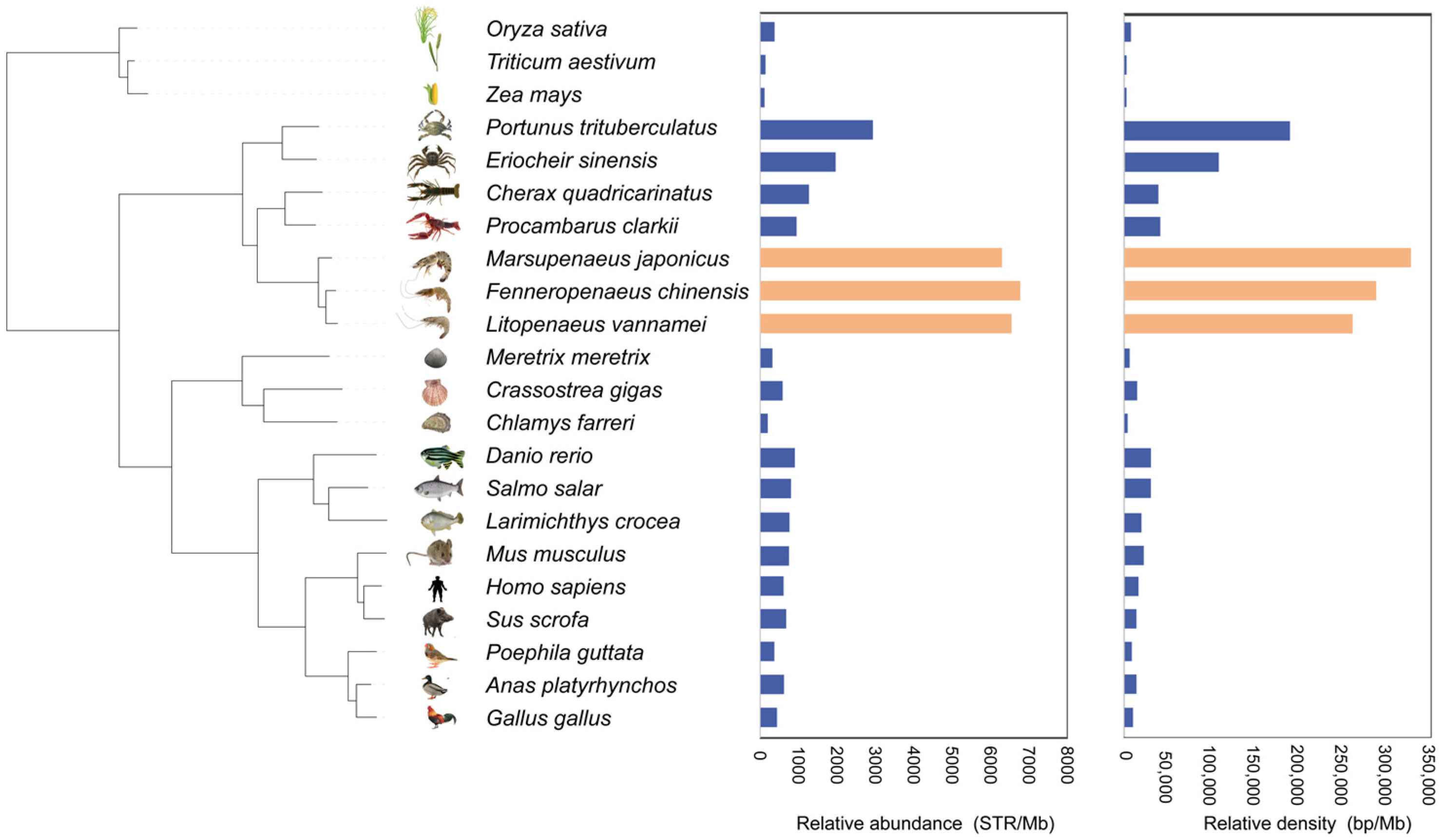 Animals 15 00262 g001