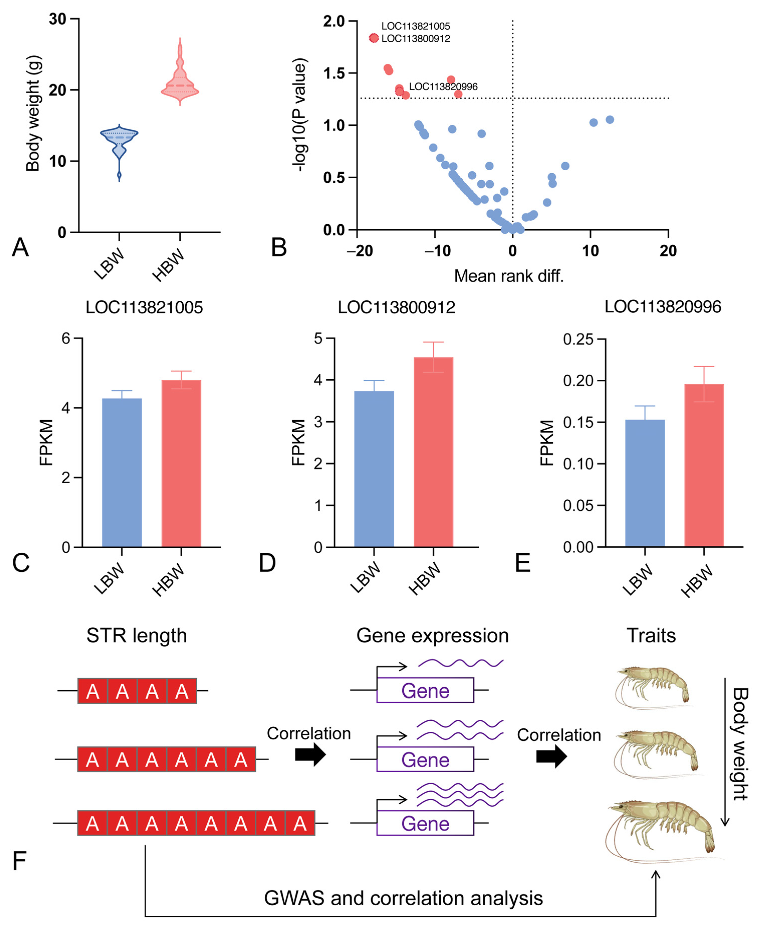 Animals 15 00262 g005