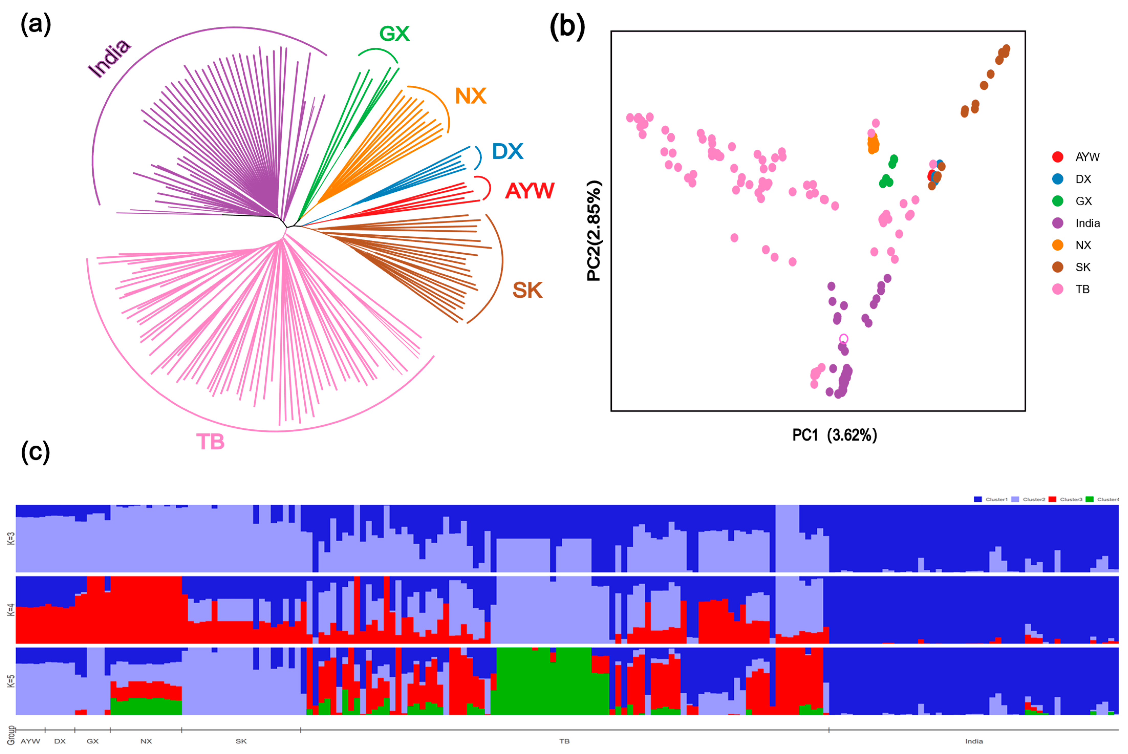 Animals 15 00265 g001