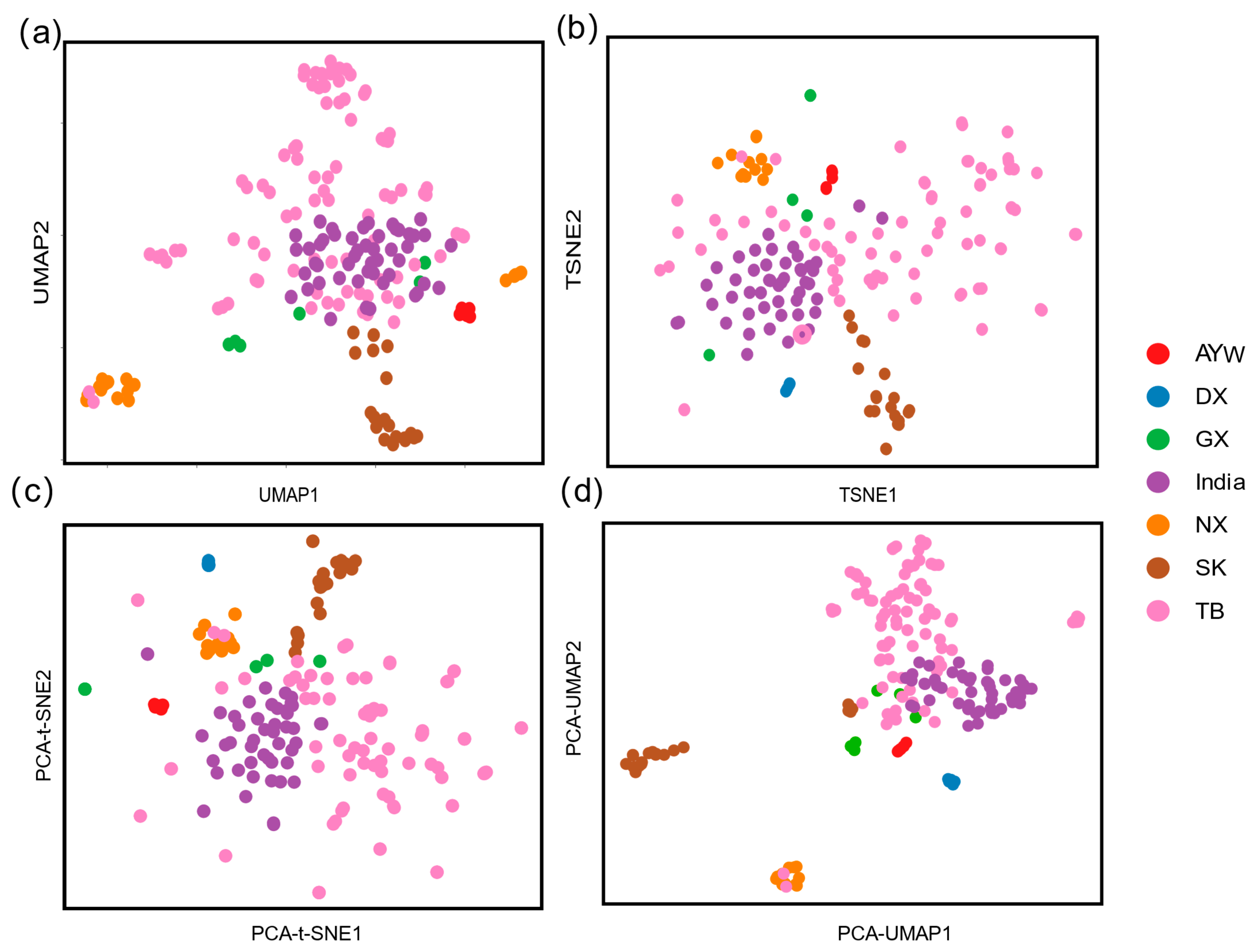 Animals 15 00265 g002