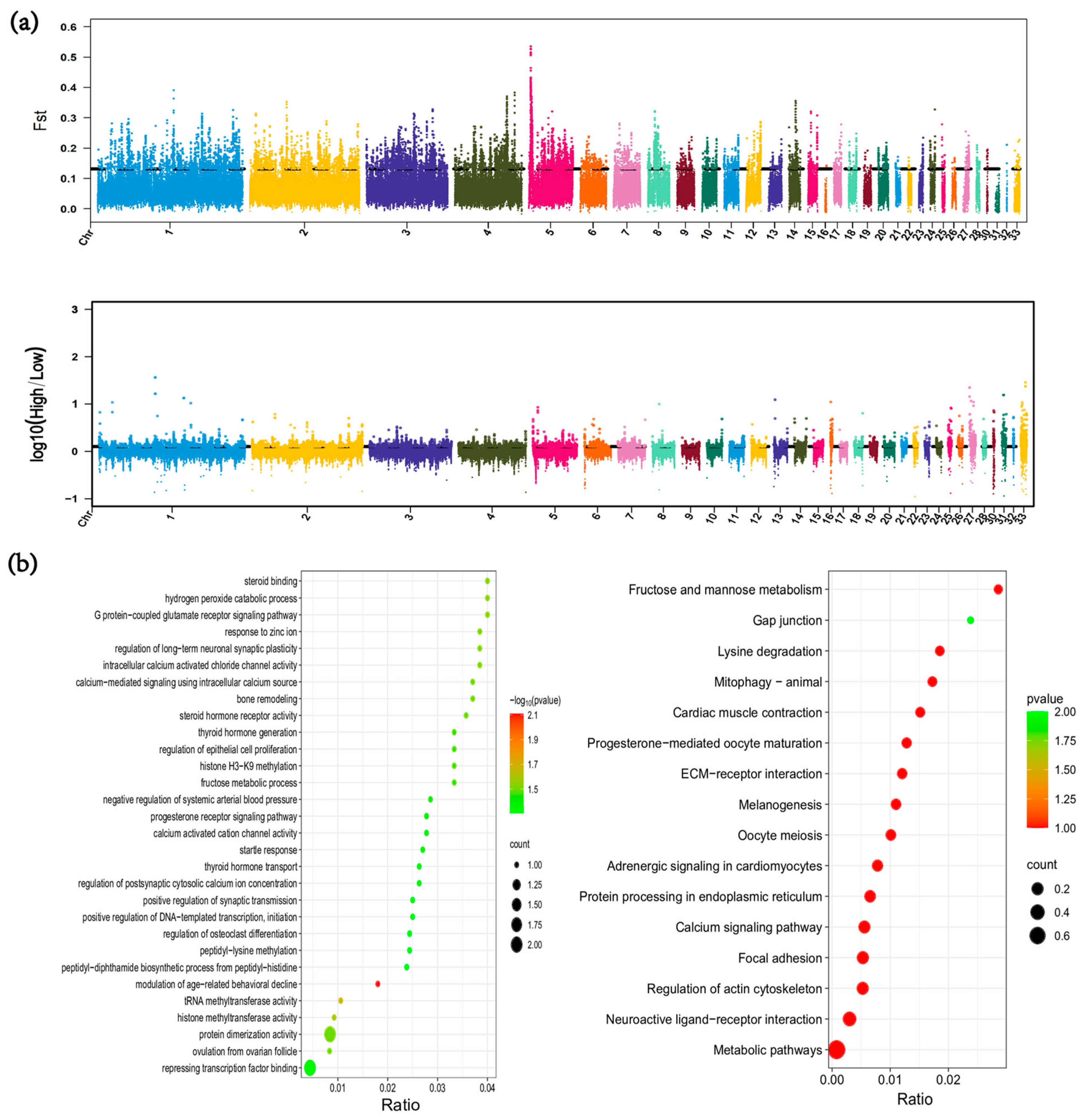 Animals 15 00265 g004