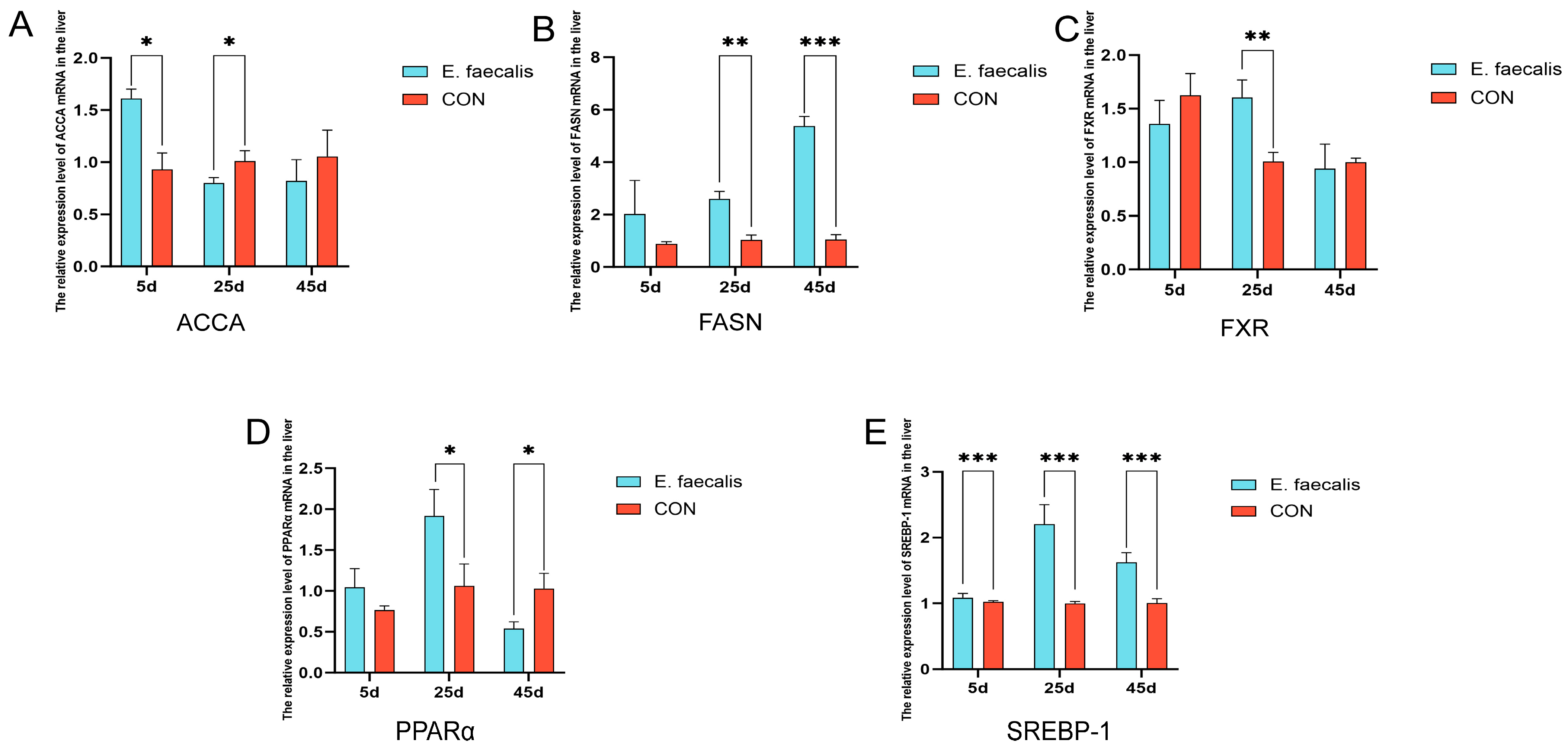 Animals 15 00268 g004