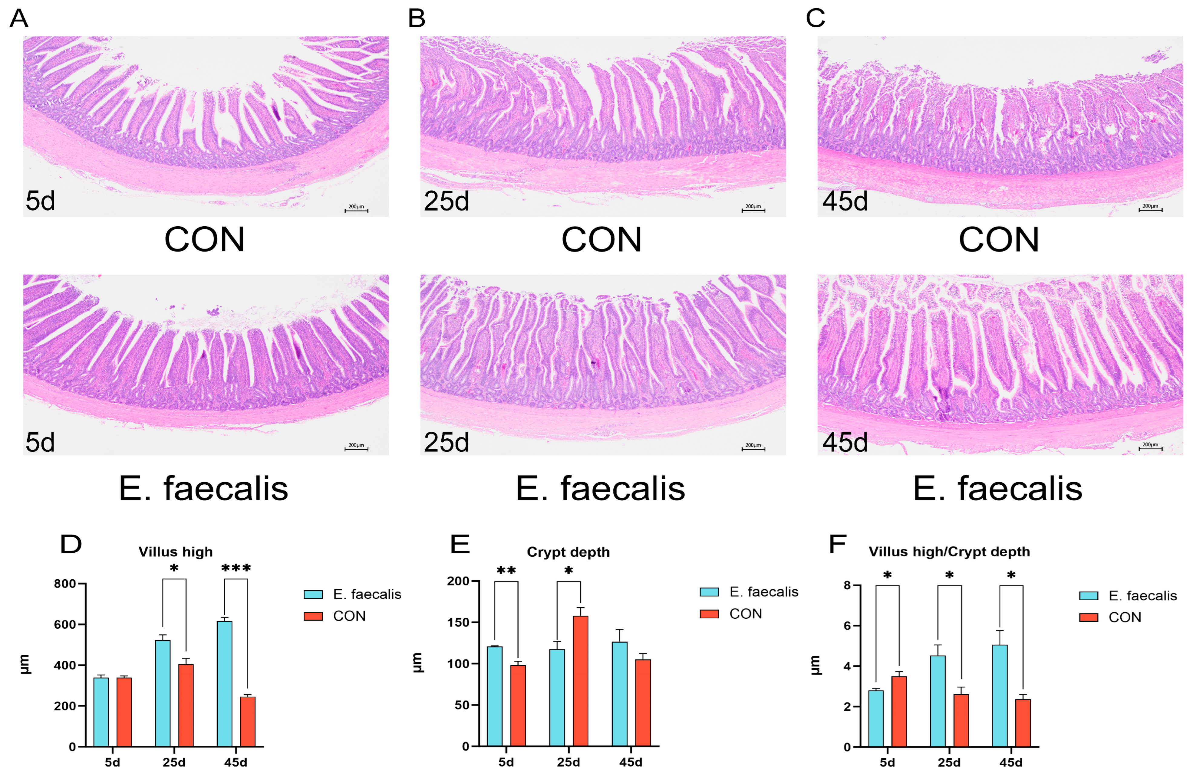 Animals 15 00268 g005