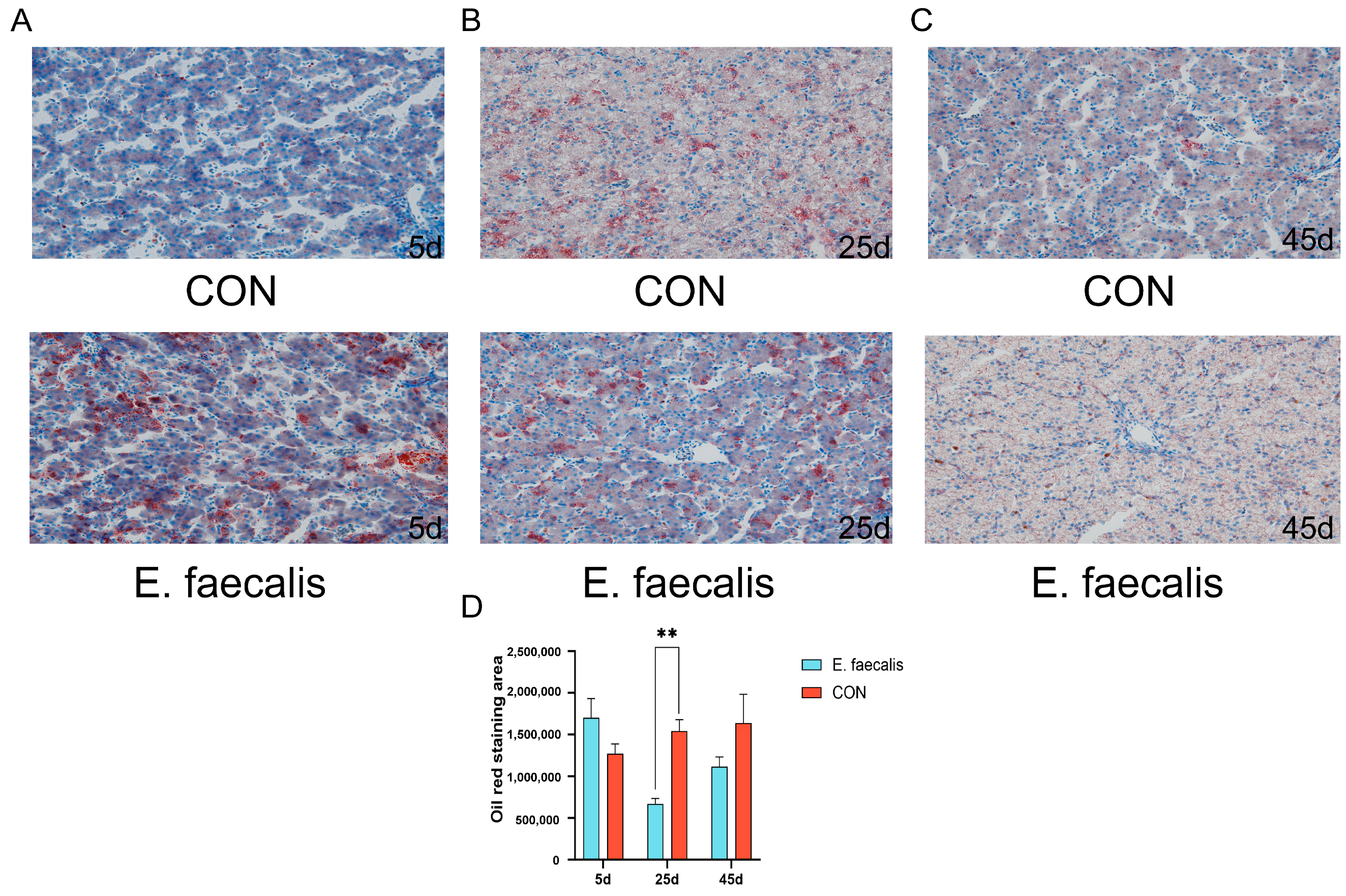 Animals 15 00268 g006