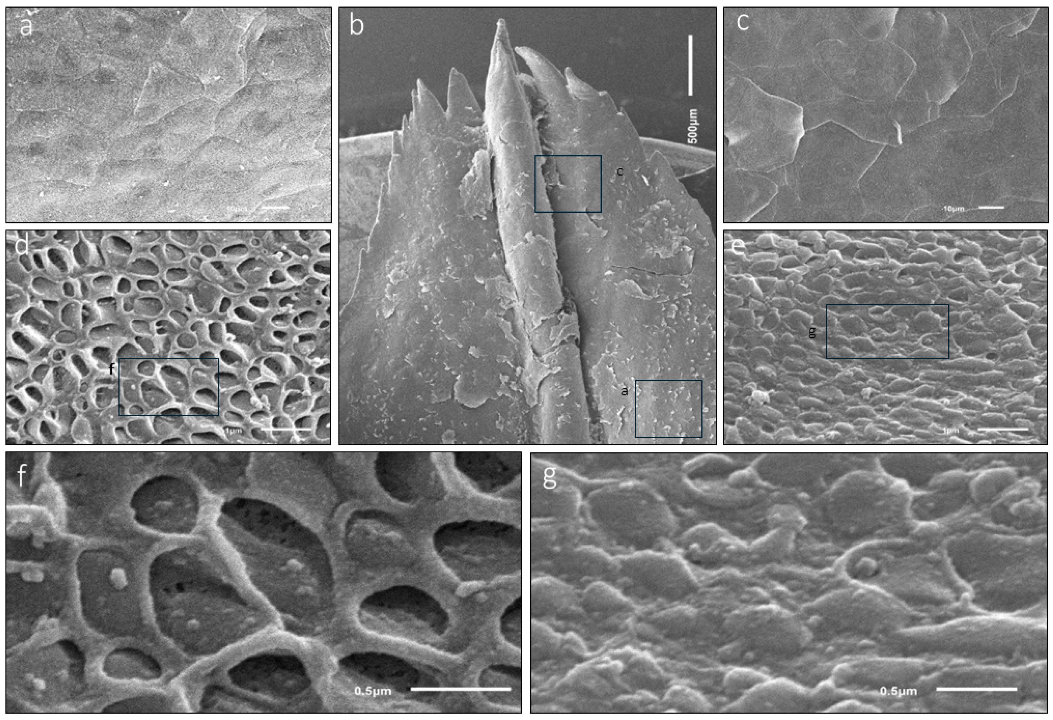 Animals 15 00275 g009