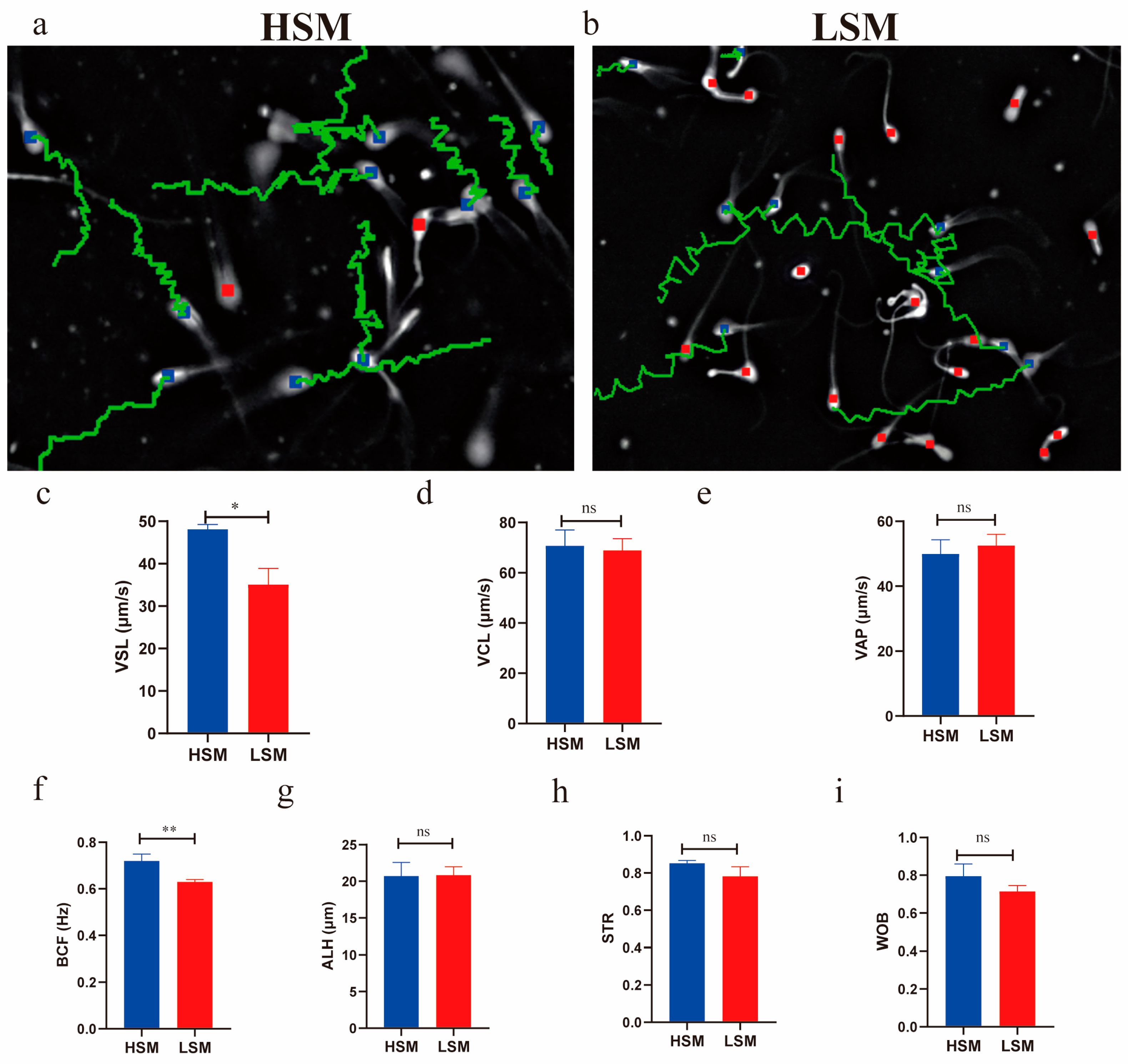 Animals 15 00276 g001