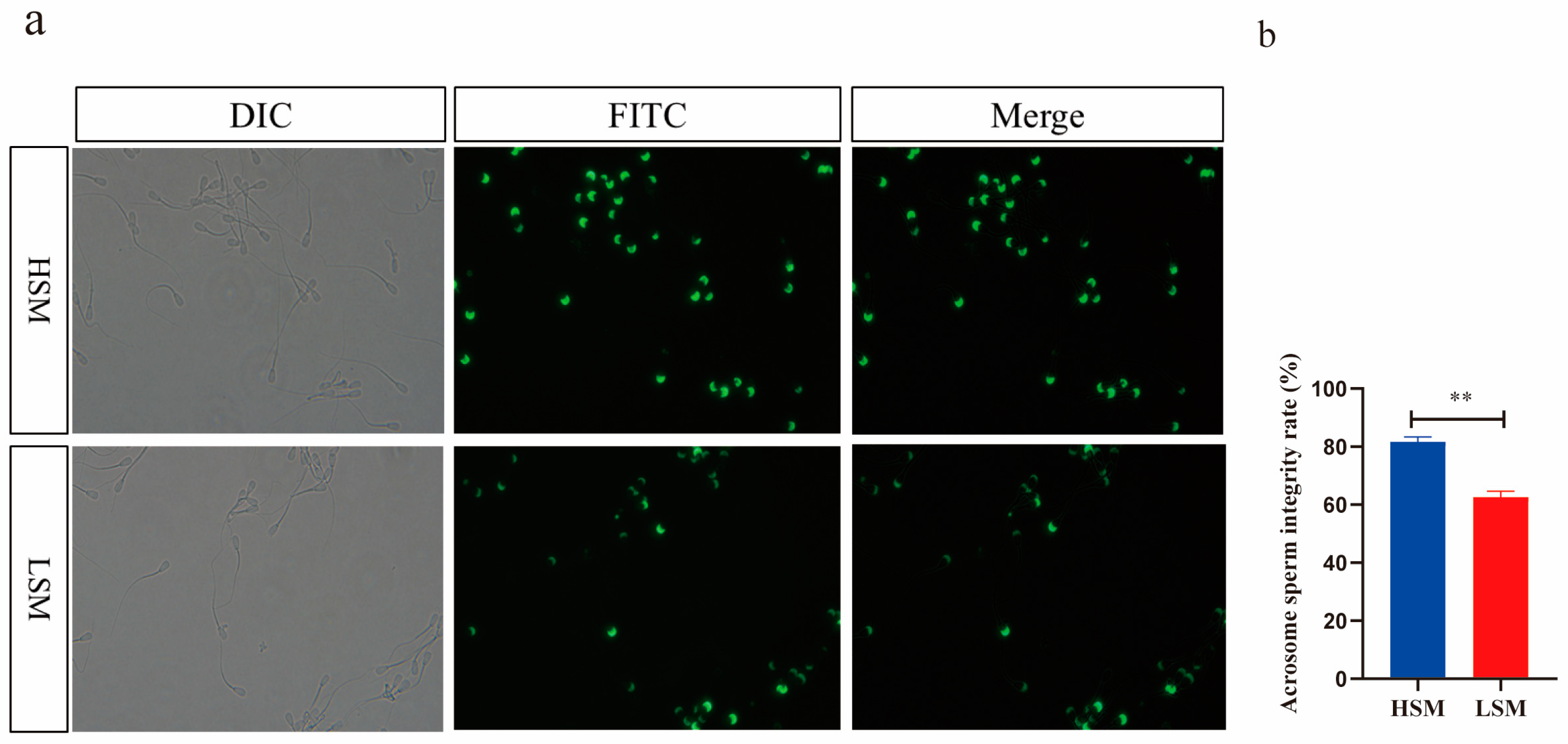 Animals 15 00276 g003