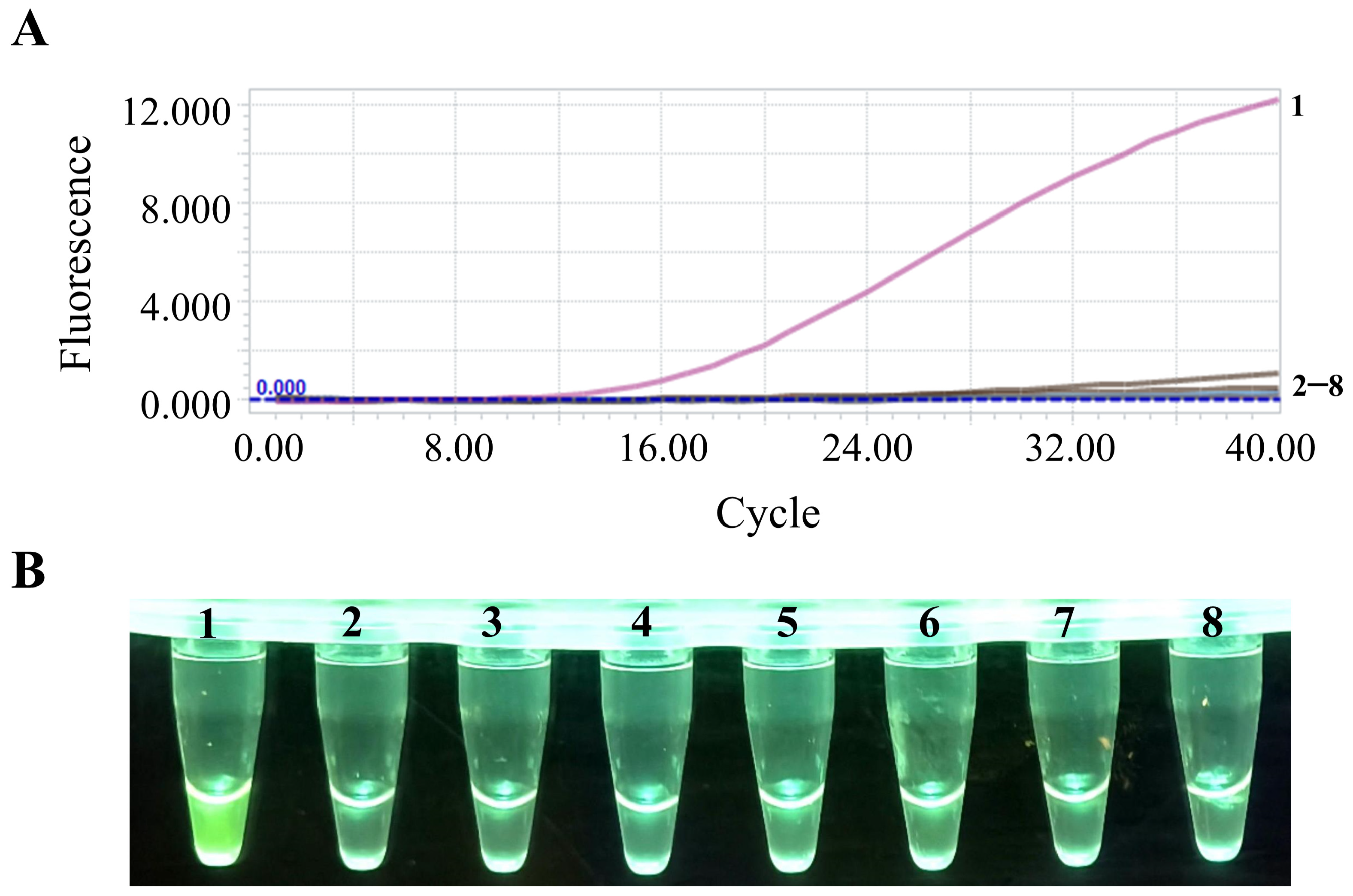 Animals 15 00281 g004