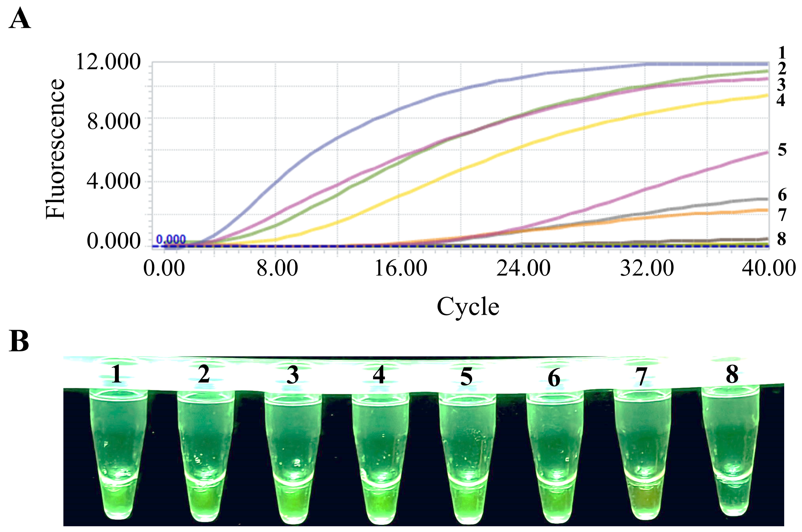 Animals 15 00281 g005
