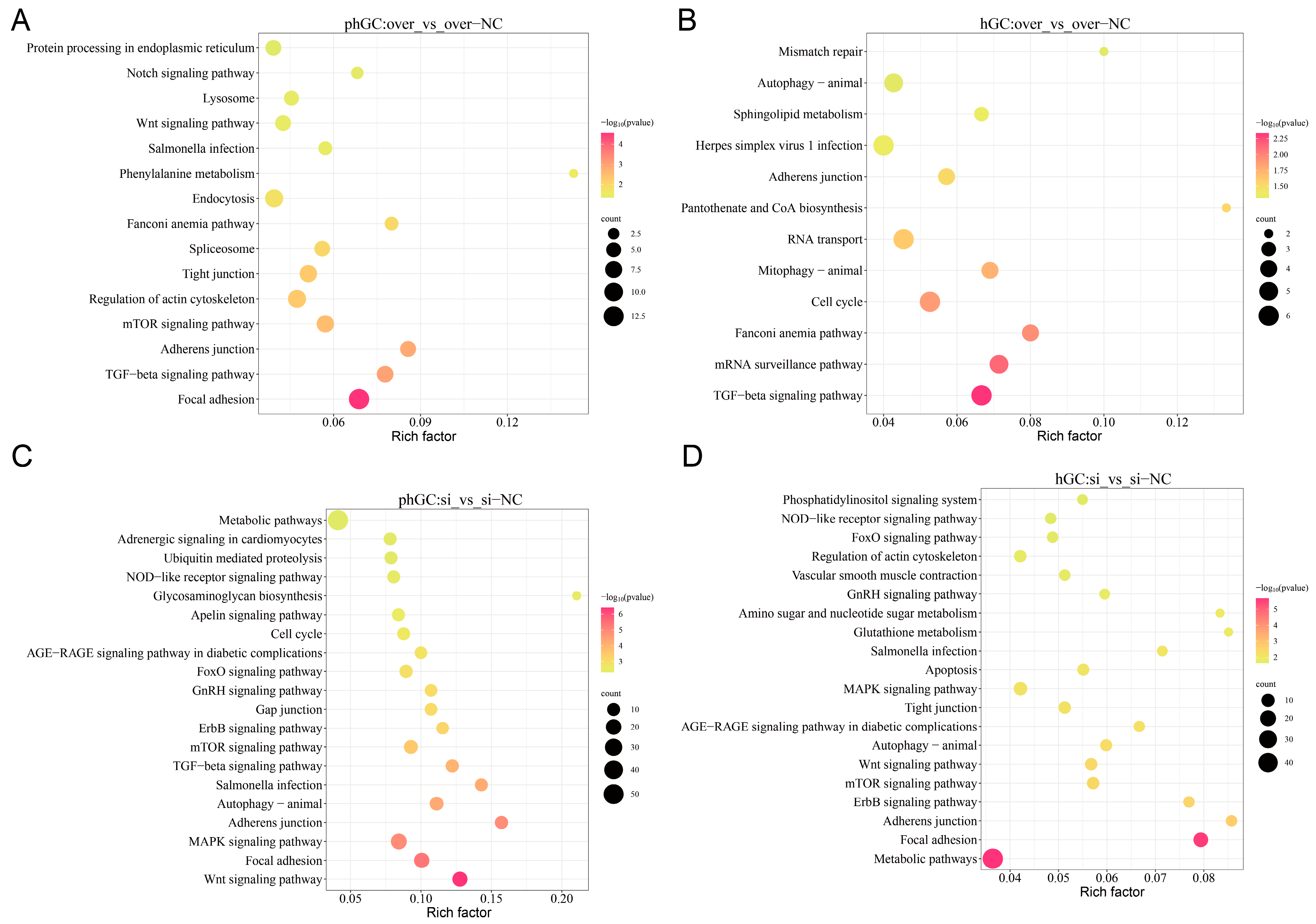Animals 15 00284 g004