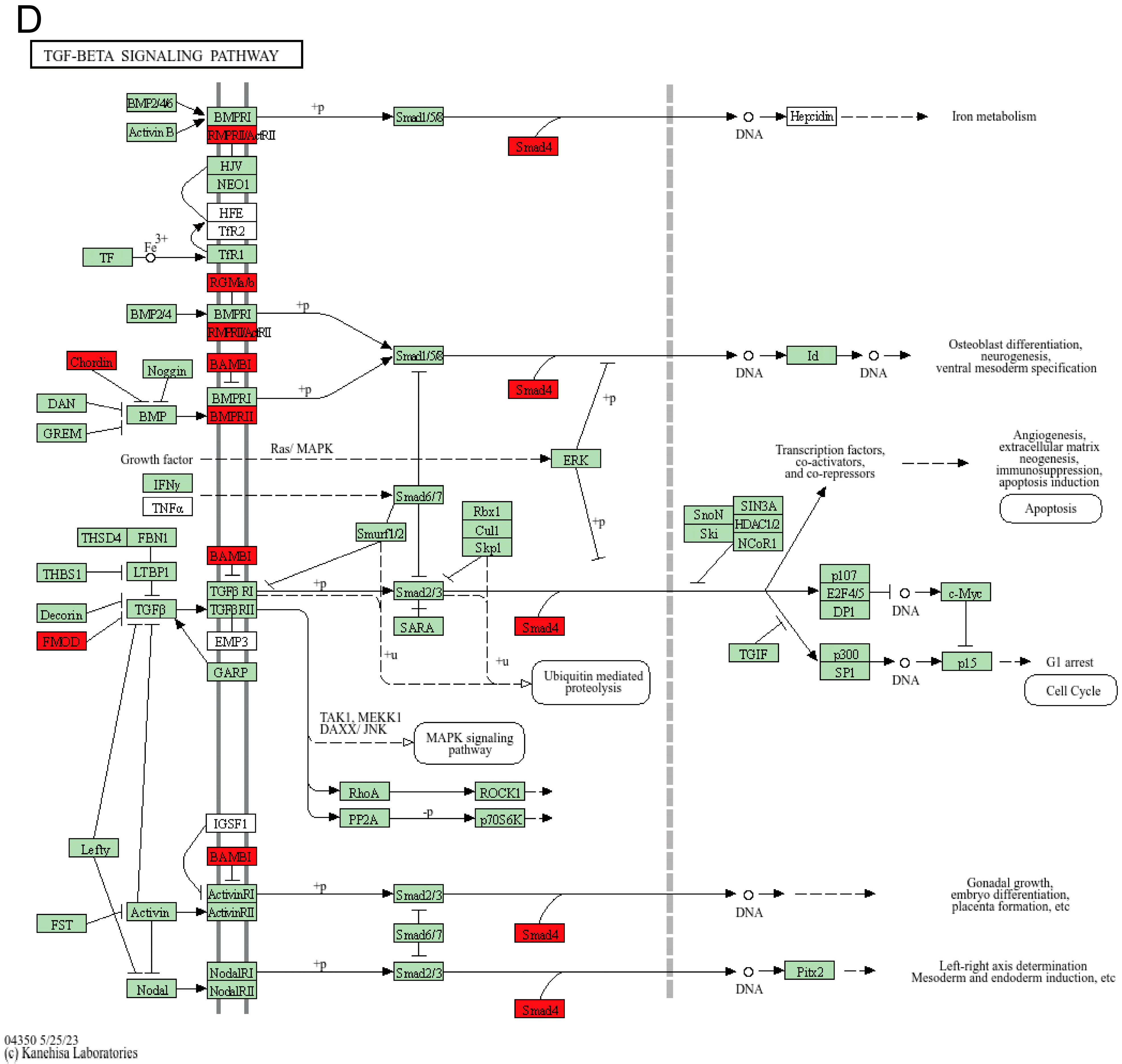 Animals 15 00284 g005b