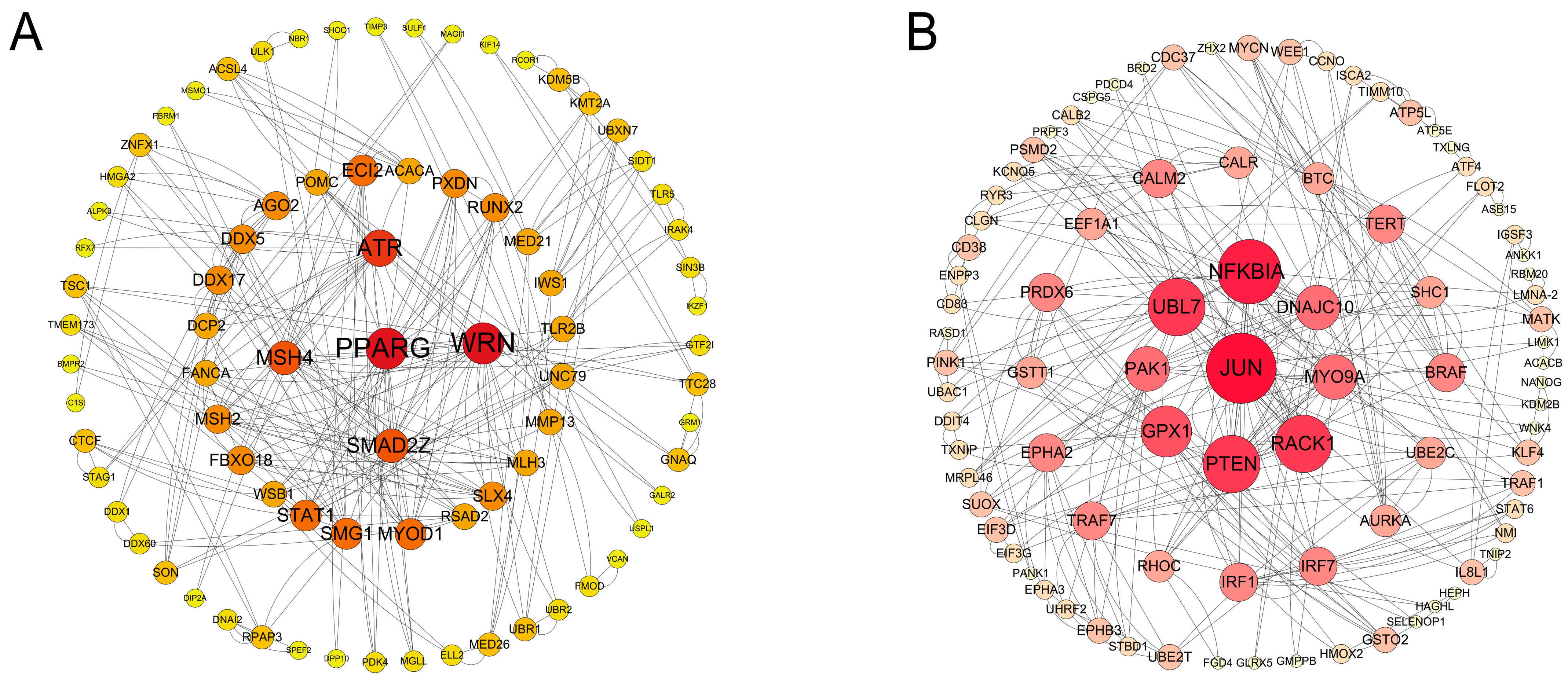Animals 15 00284 g006