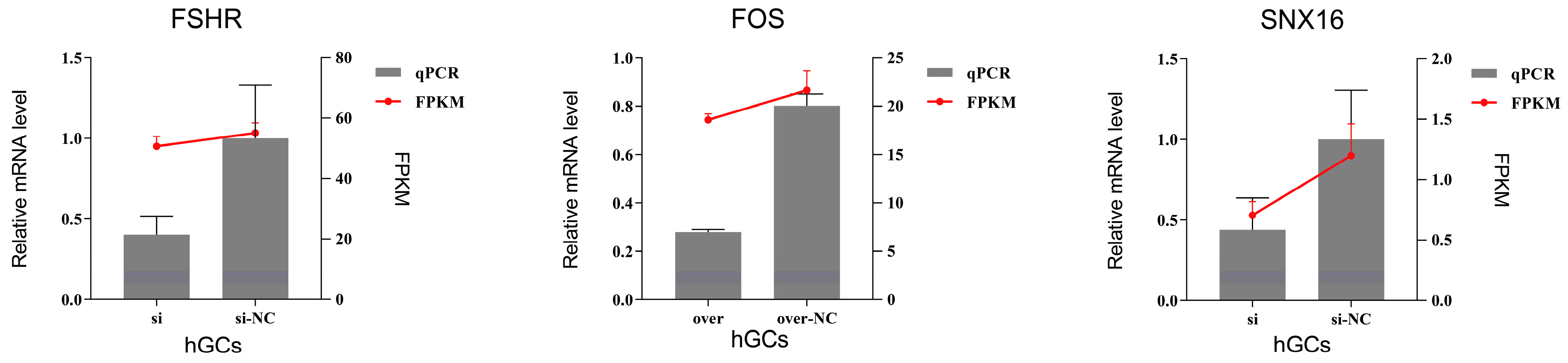 Animals 15 00284 g008b