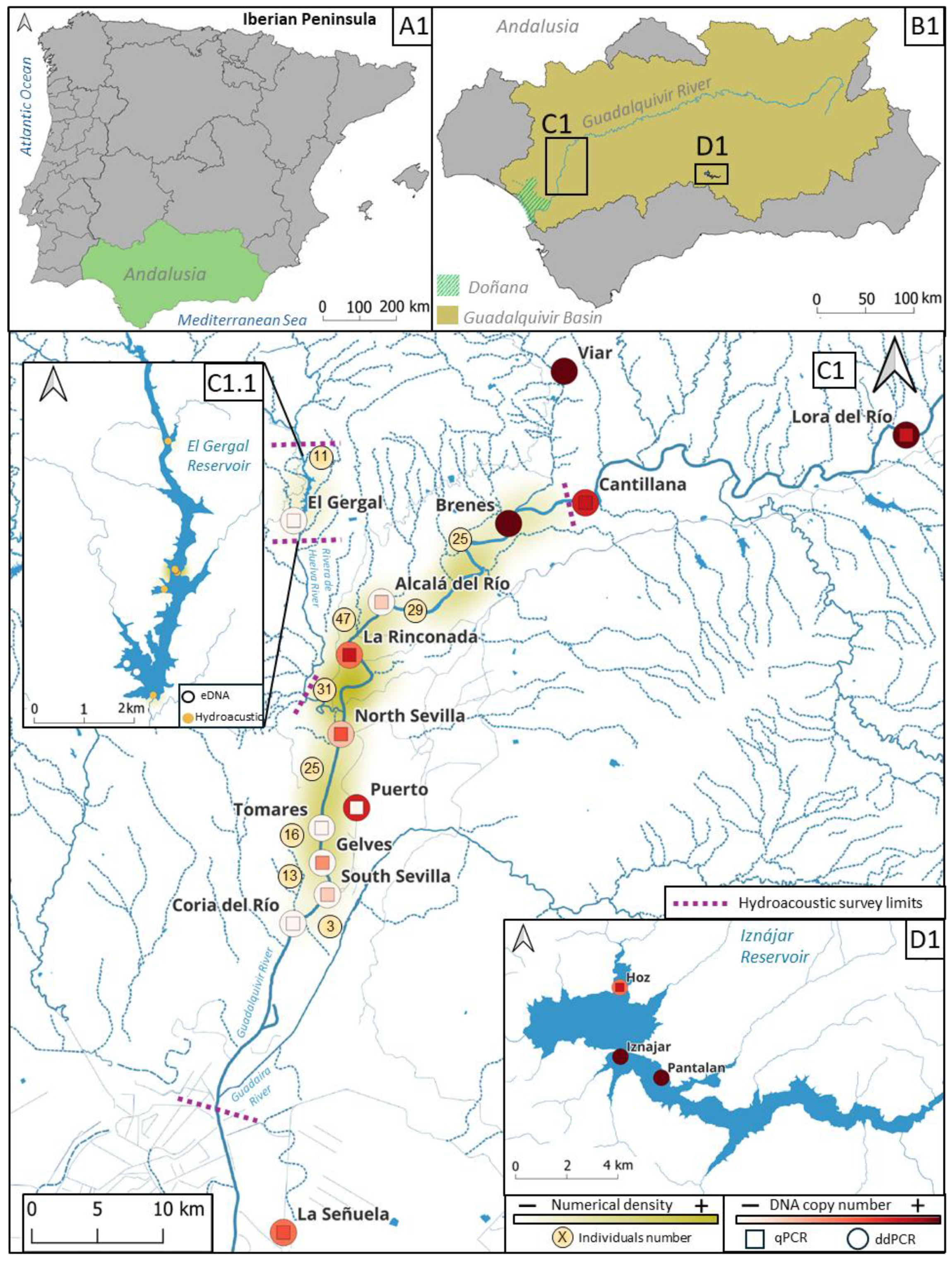Animals 15 00285 g001
