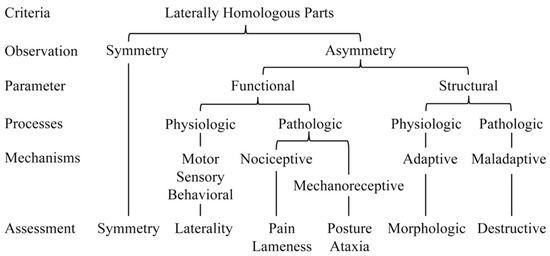 The Challenge of Defining Laterality in Horses: Is It Laterality or ...