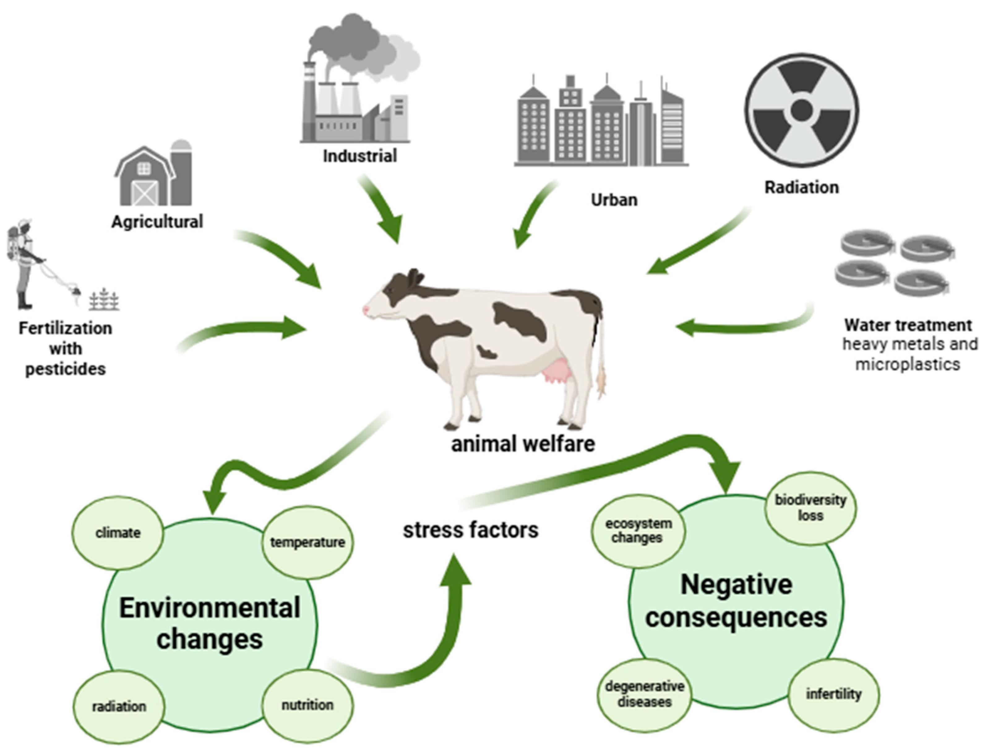 Animals 15 00289 g001