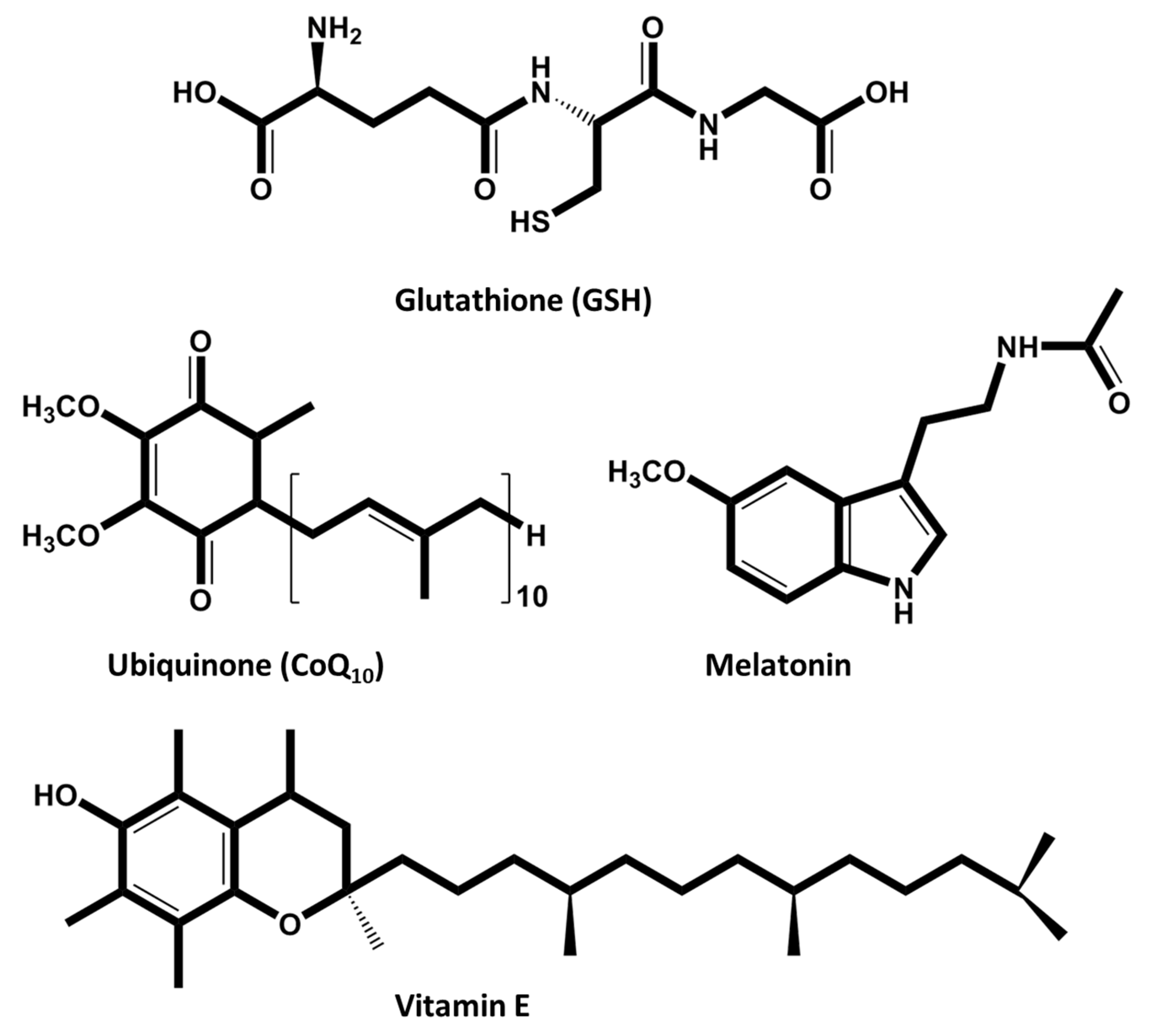 Animals 15 00289 g004
