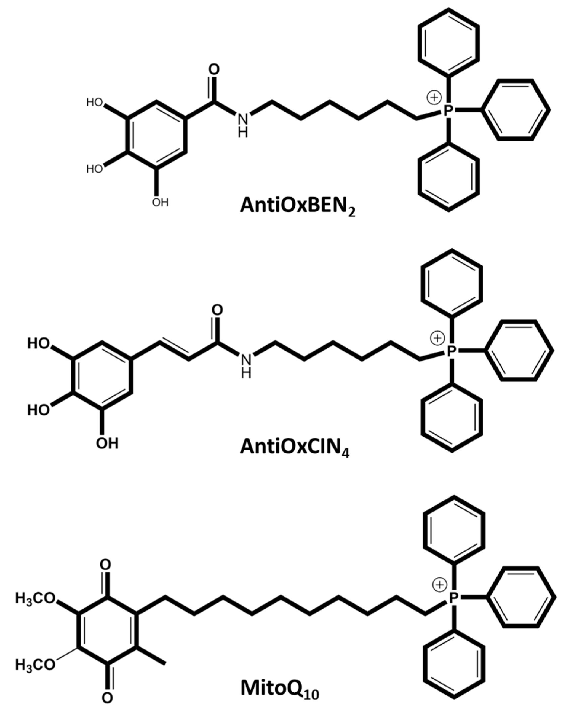 Animals 15 00289 g006