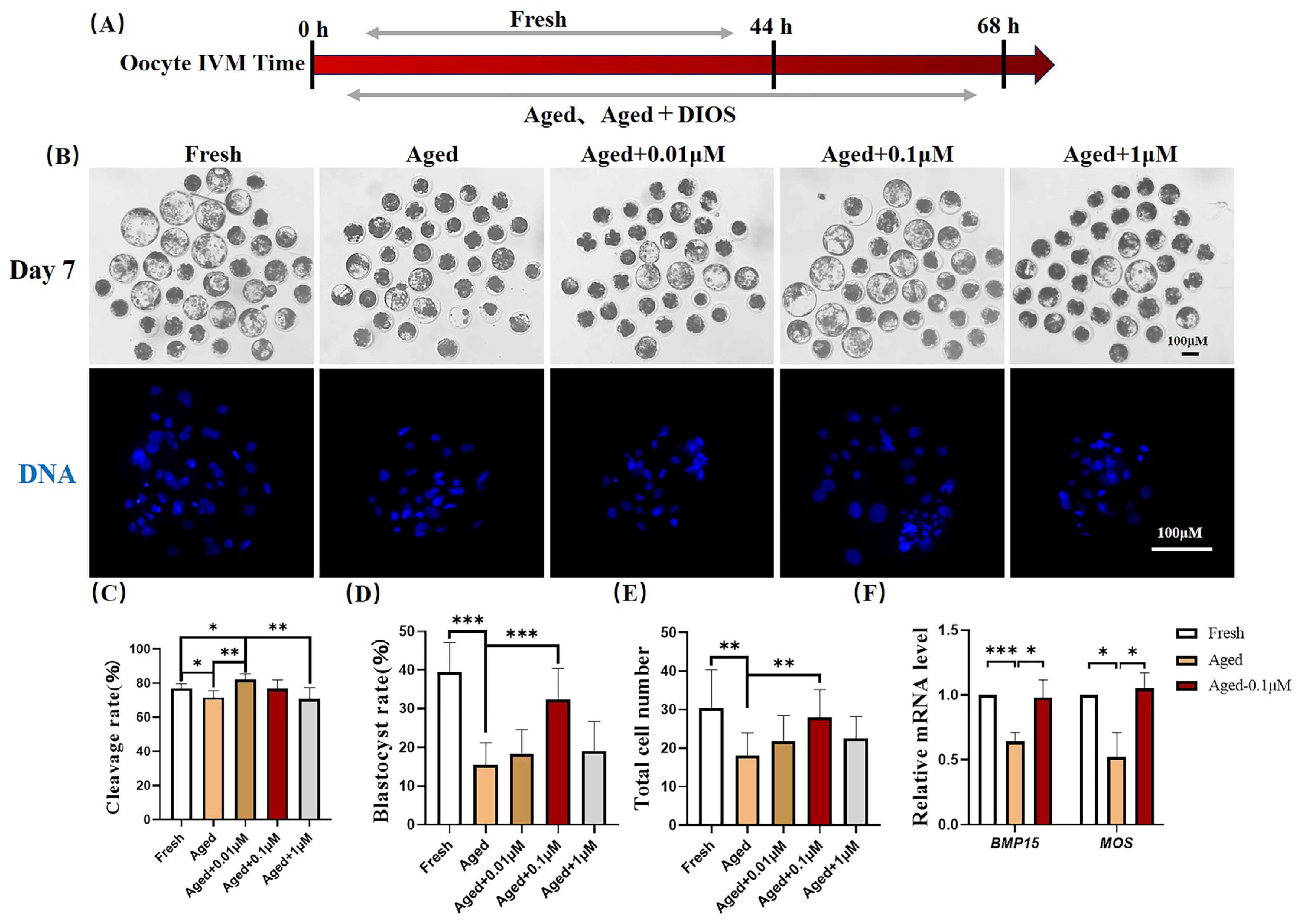 Animals 15 00291 g001