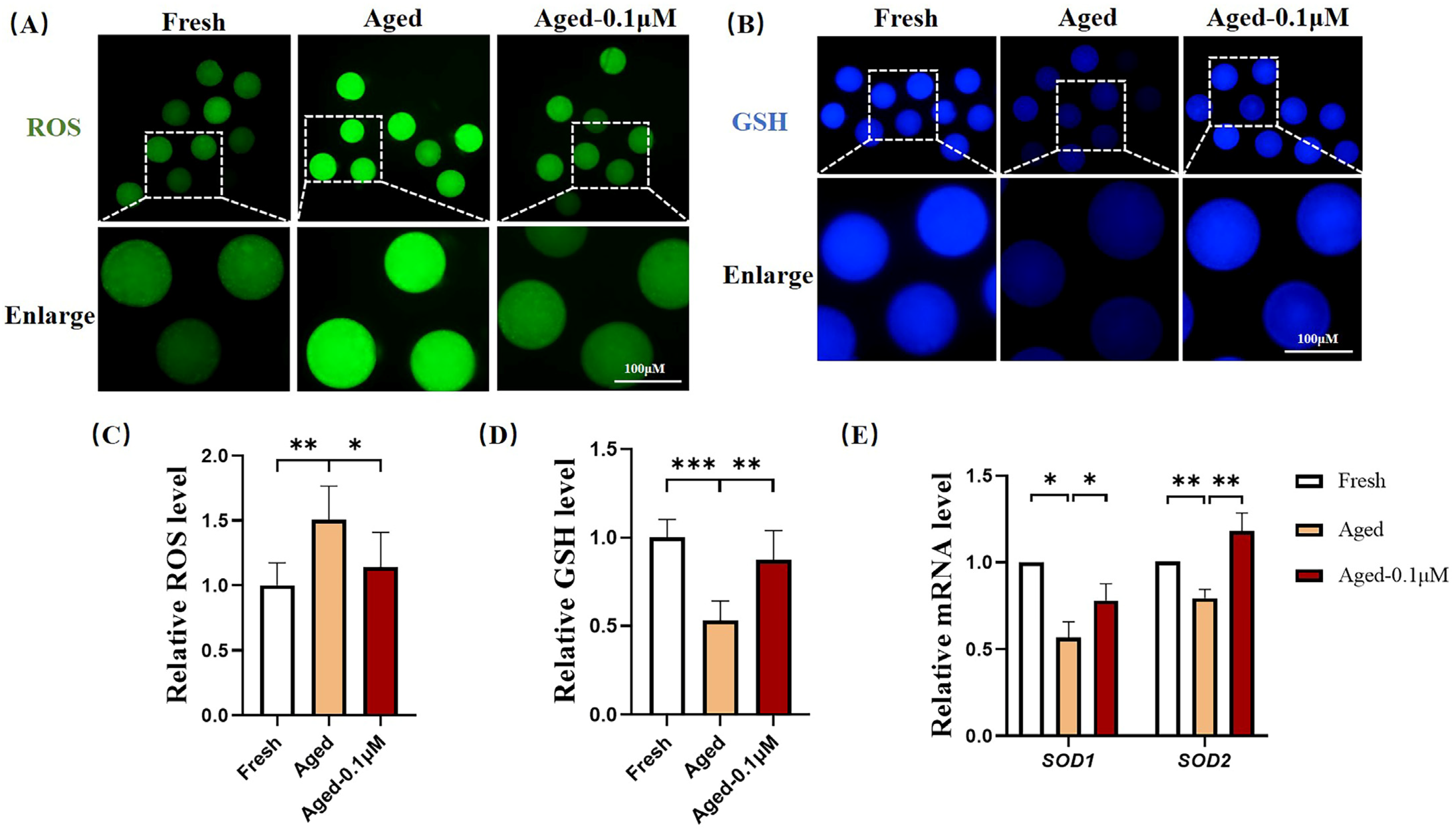Animals 15 00291 g002