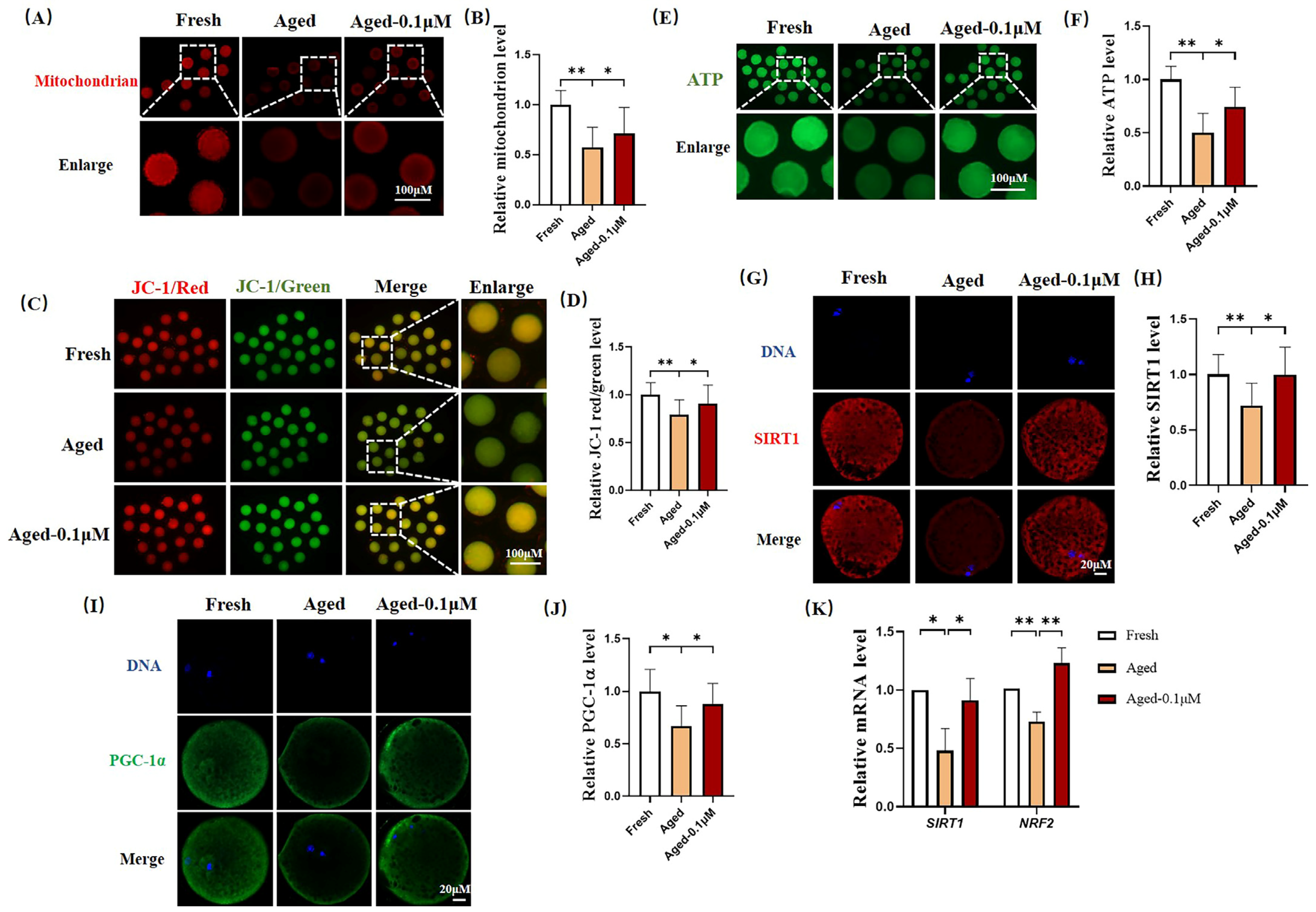 Animals 15 00291 g003