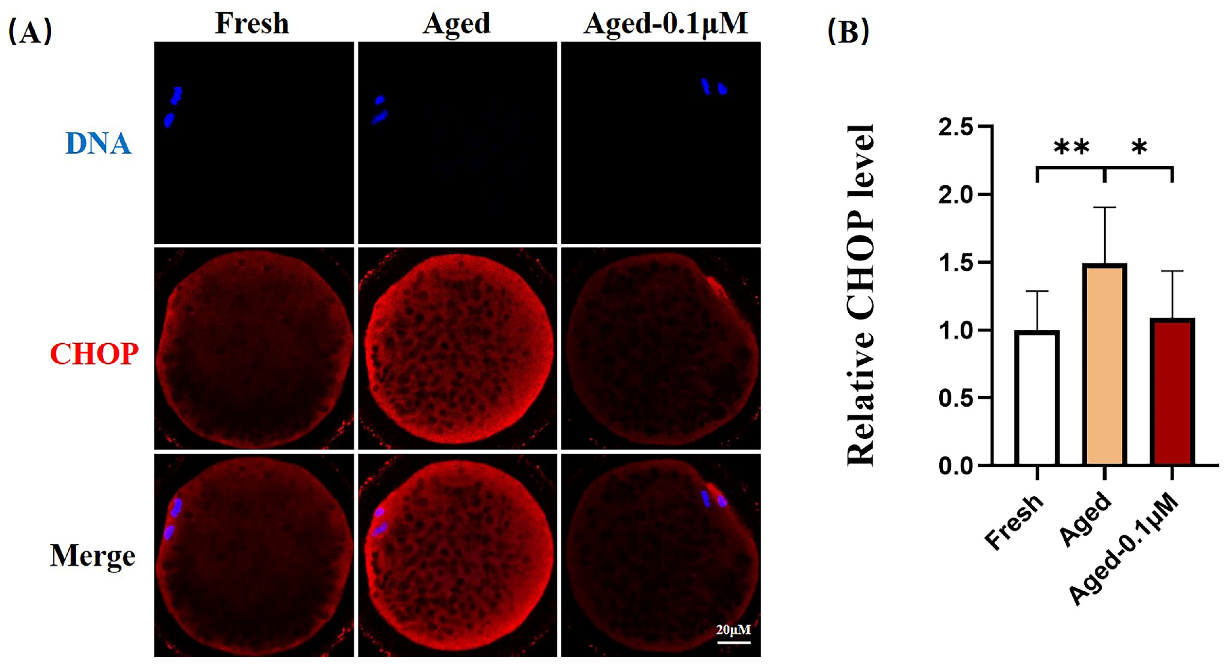 Animals 15 00291 g005