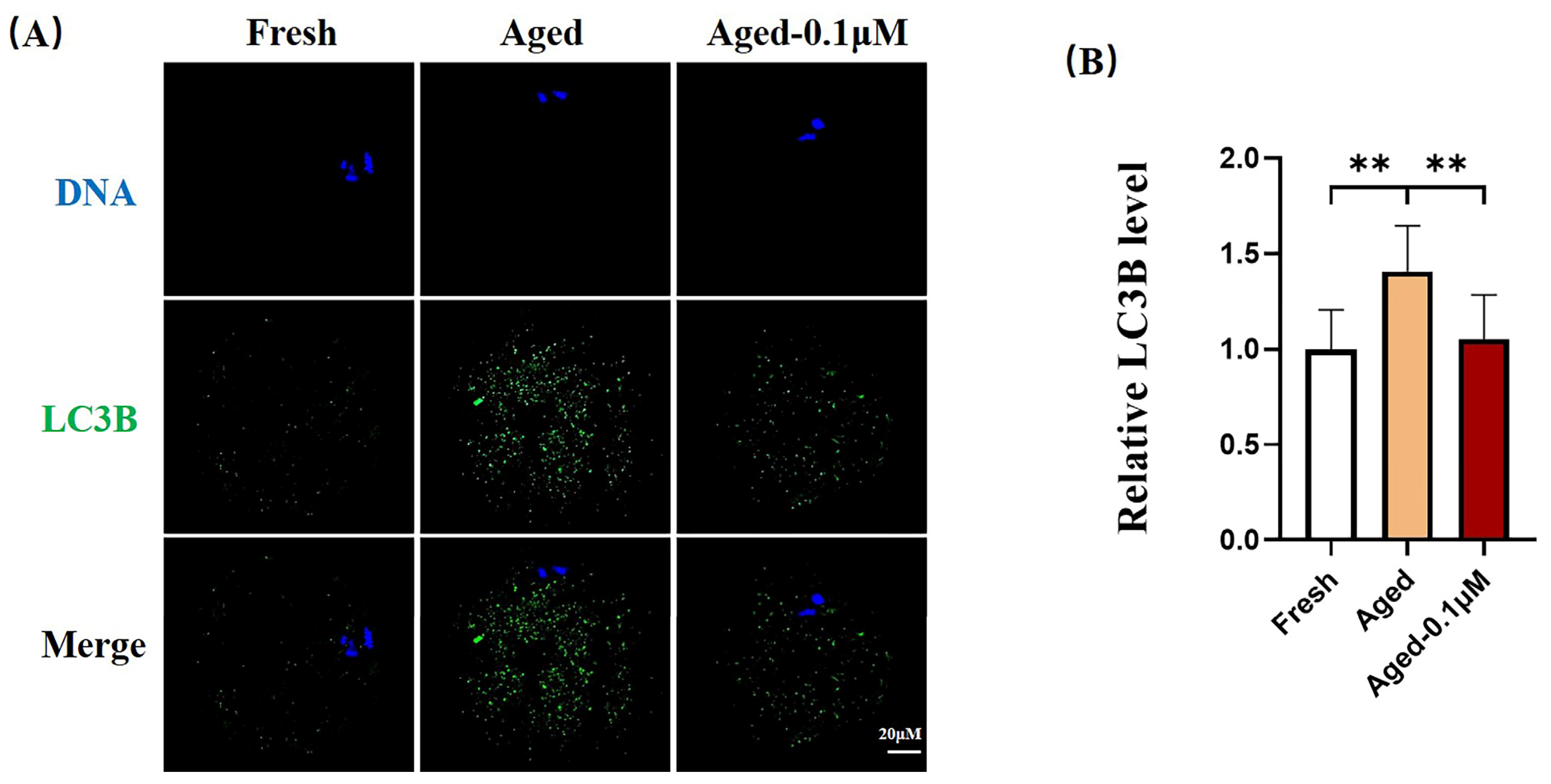 Animals 15 00291 g006