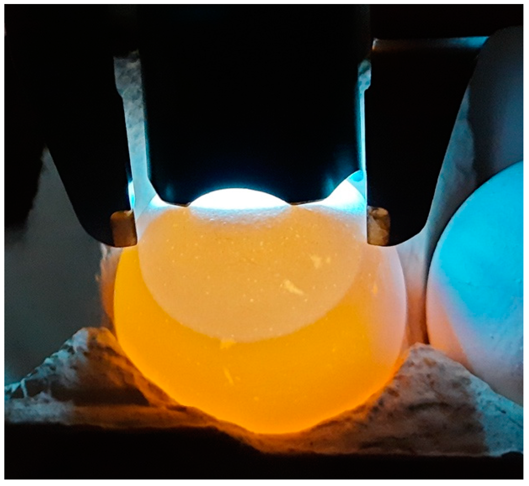 Animals 15 00292 g005