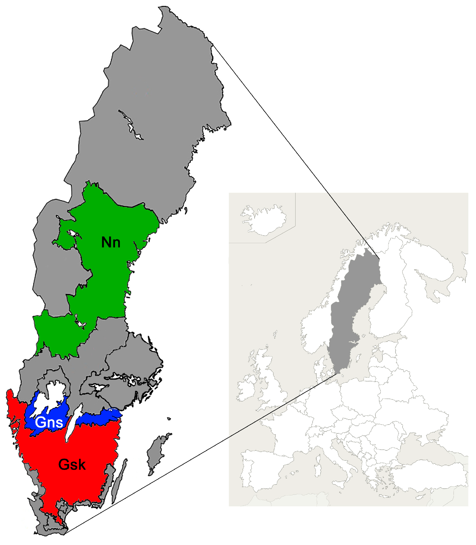 Animals 15 00295 g001