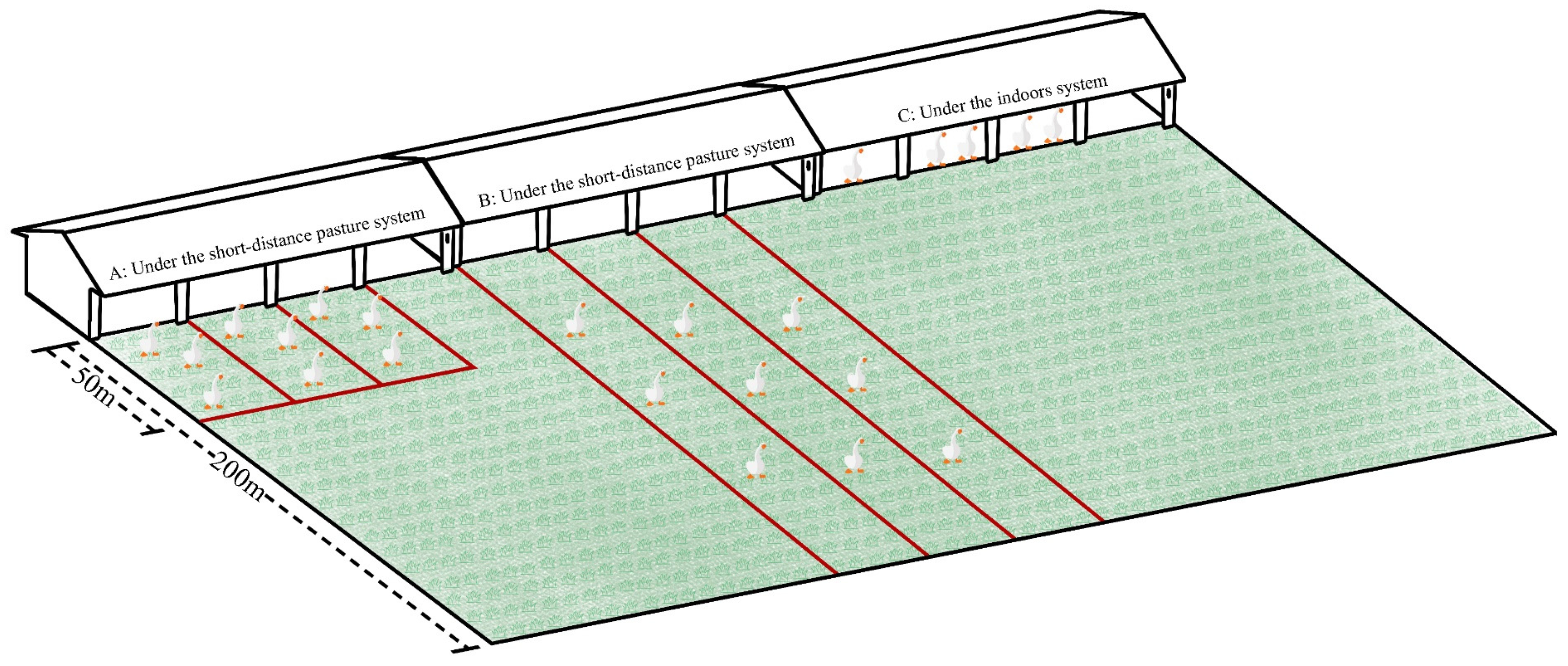 Animals 15 00304 g001