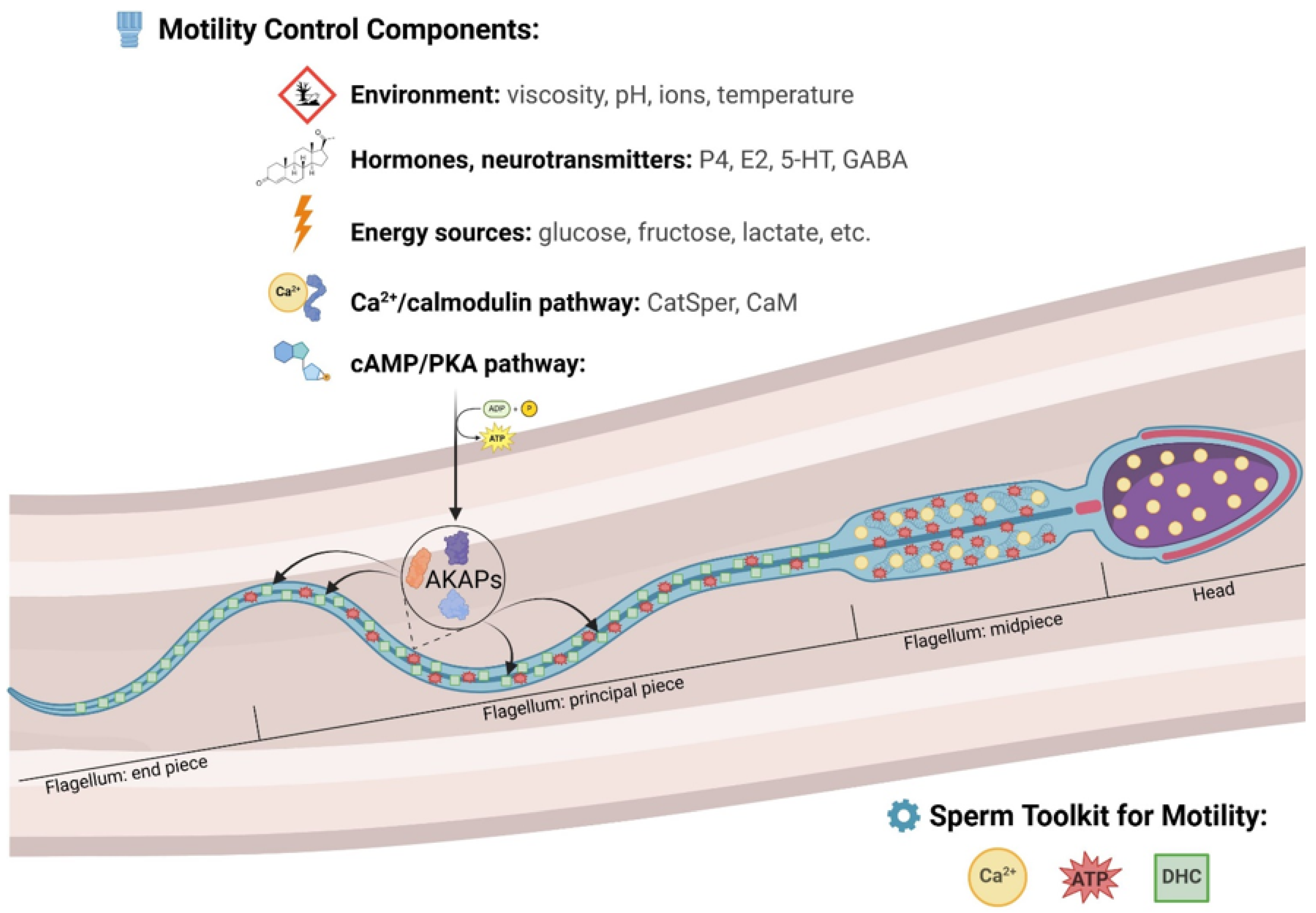 Animals 15 00305 g001 Animals 15 00305 g001