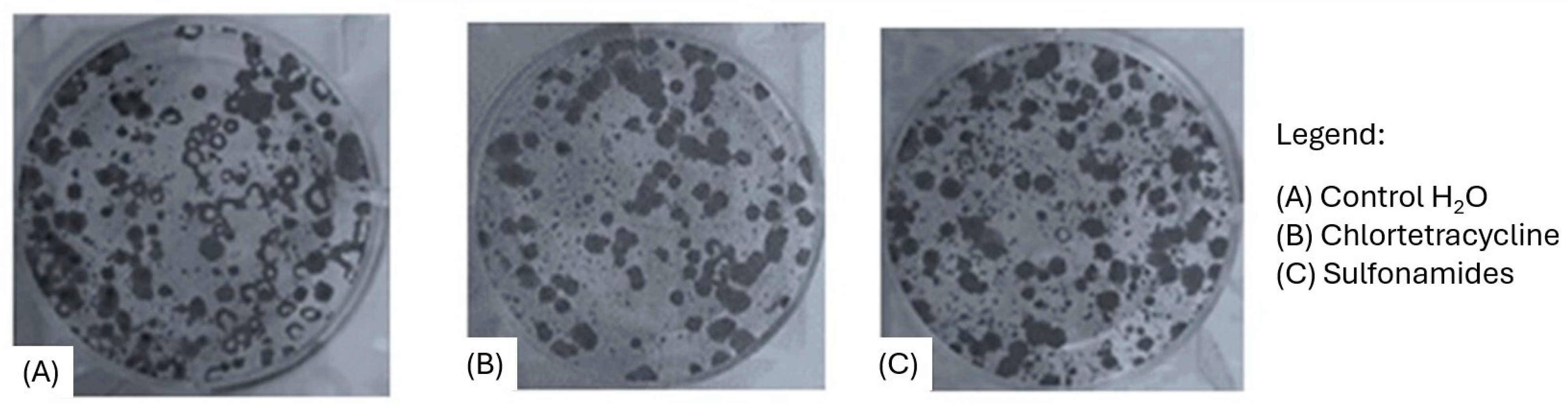 Animals 15 00315 g003