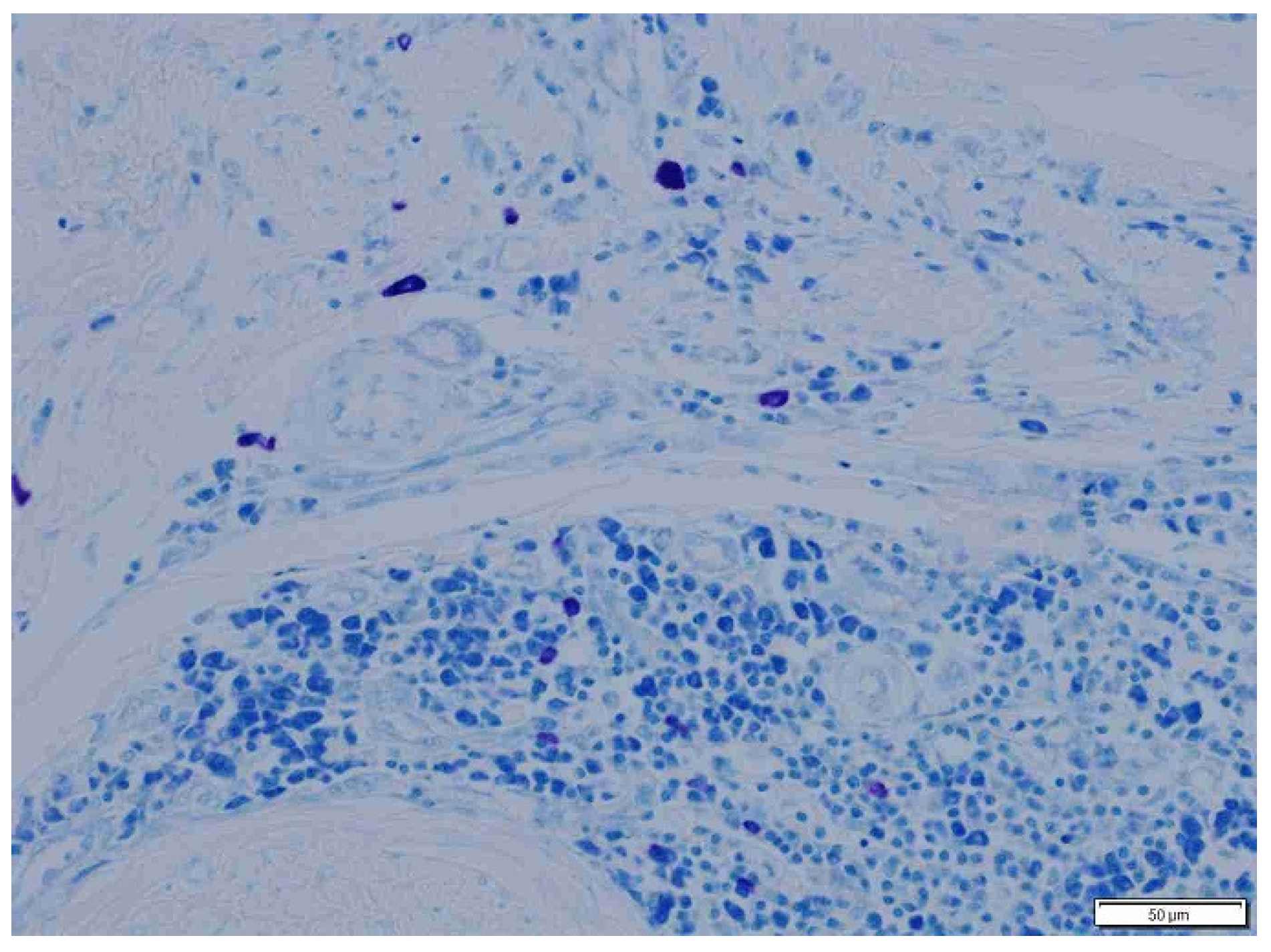 Animals 15 00316 g008