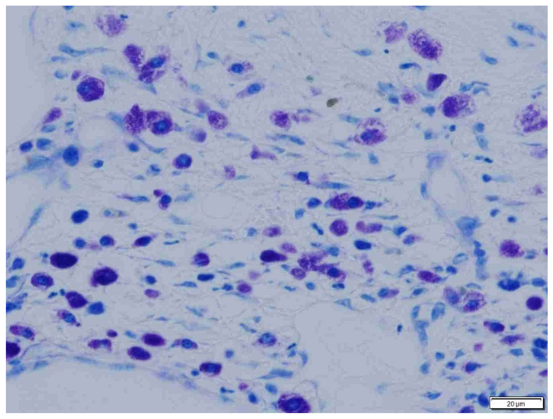 Animals 15 00316 g009