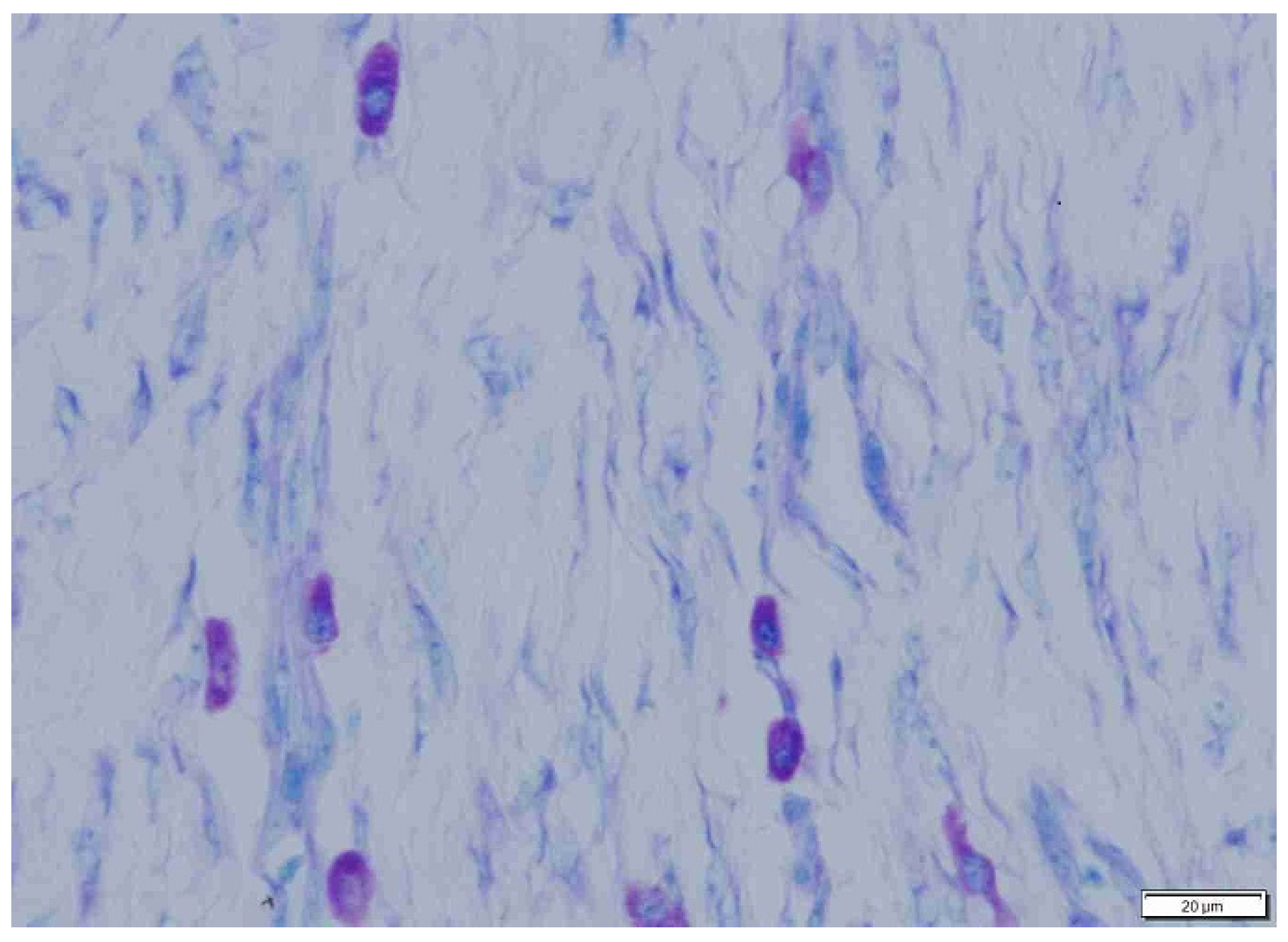 Animals 15 00316 g010