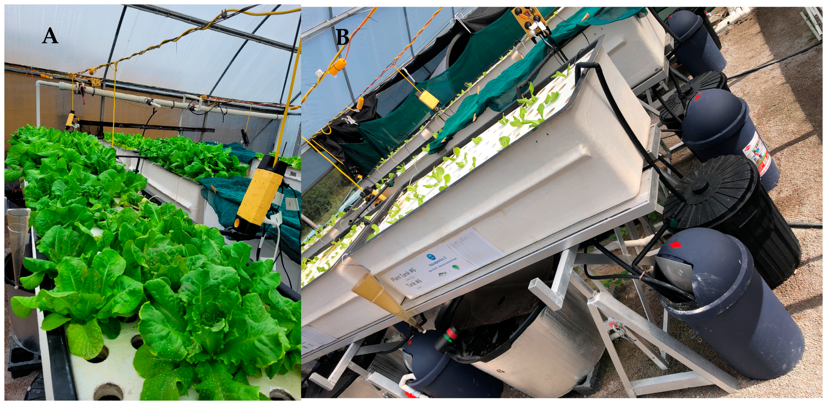 Animals 15 00317 g004