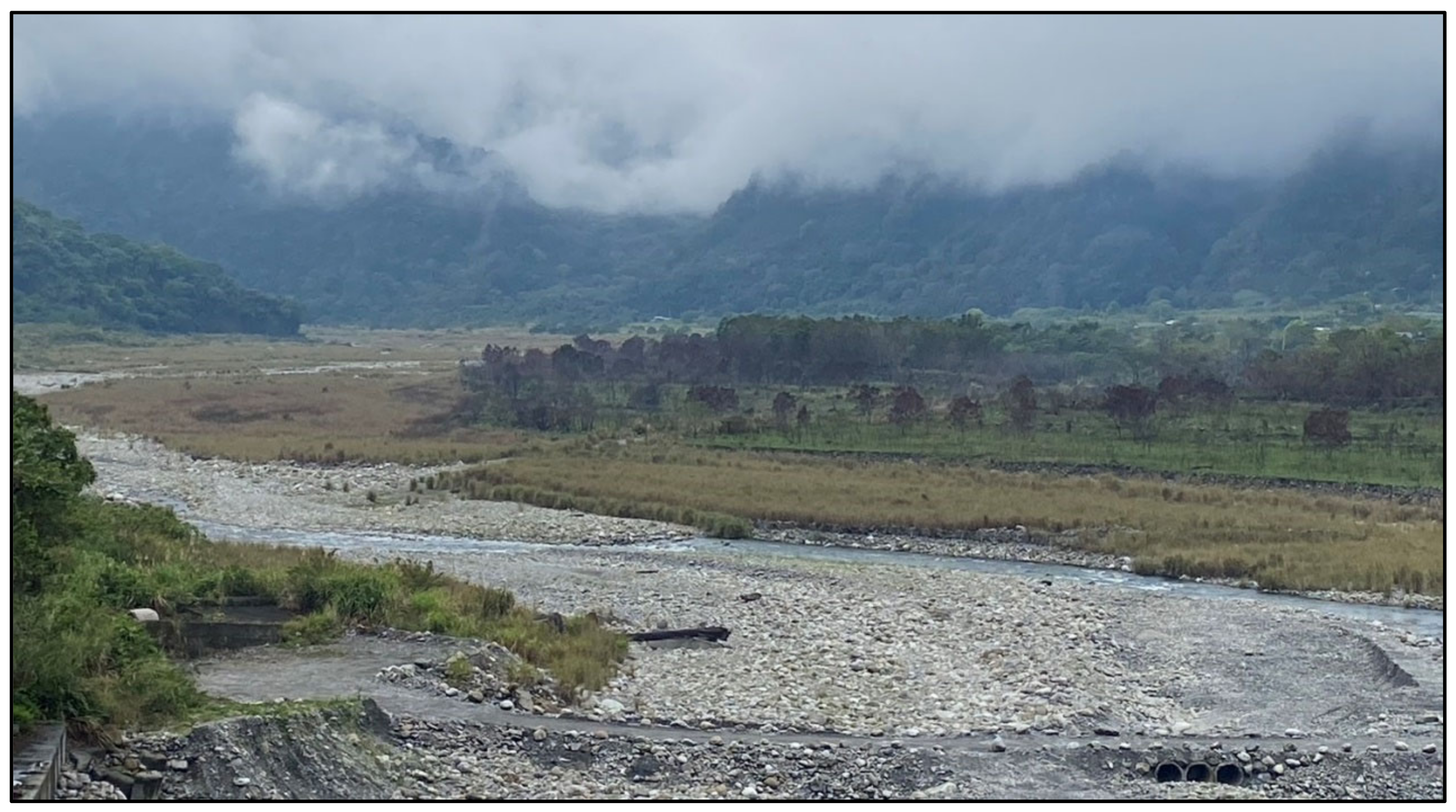 Animals 15 00319 g006